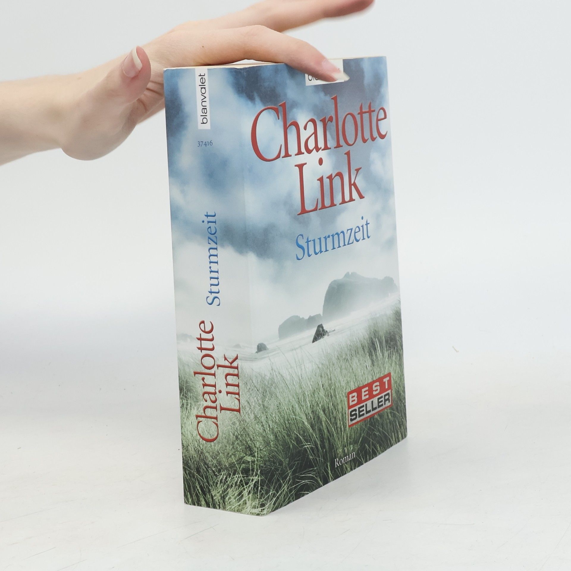 Charlotte Link Sturmzeit
