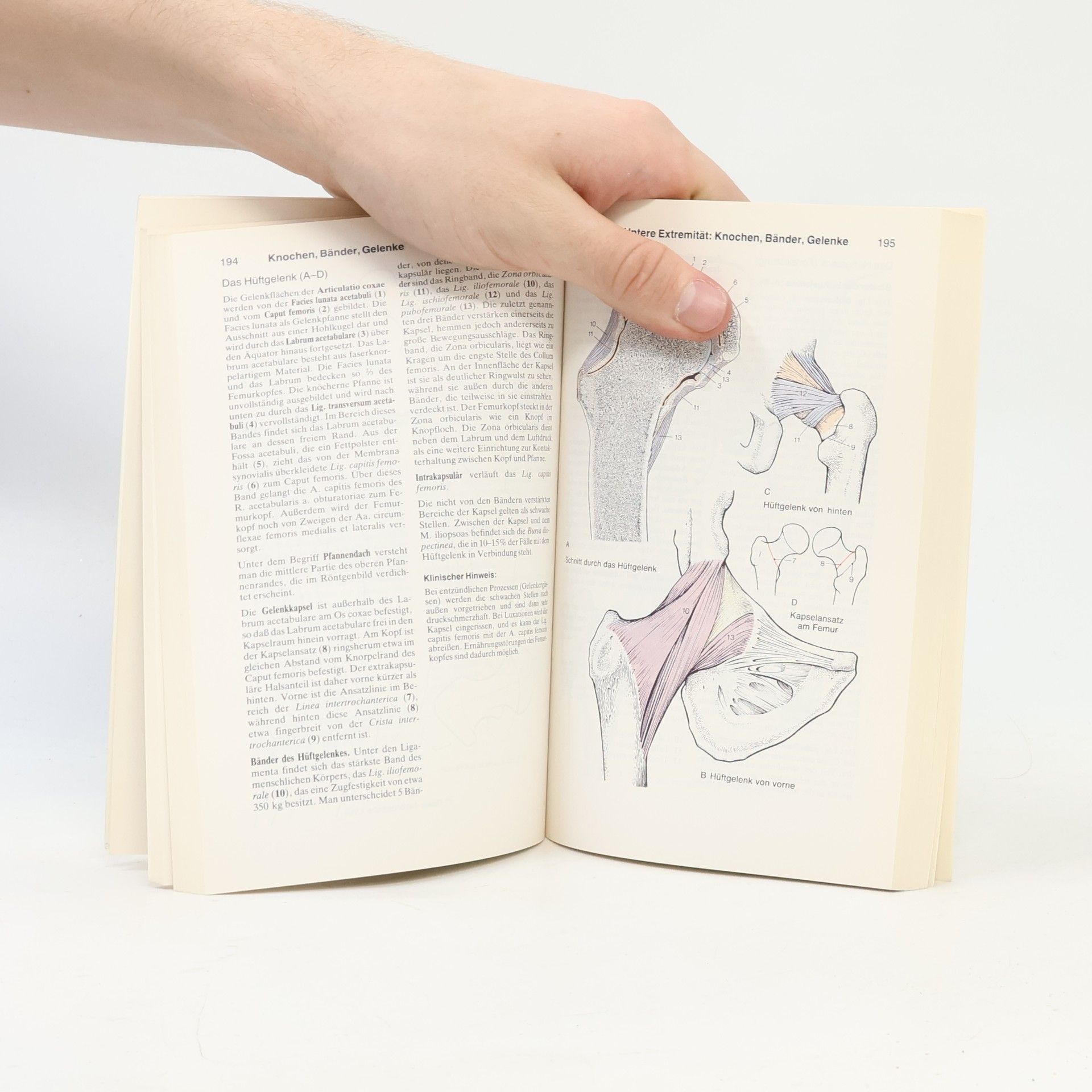 Werner Platzer Taschenatlas der Anatomie 1. Bewegungsapparat