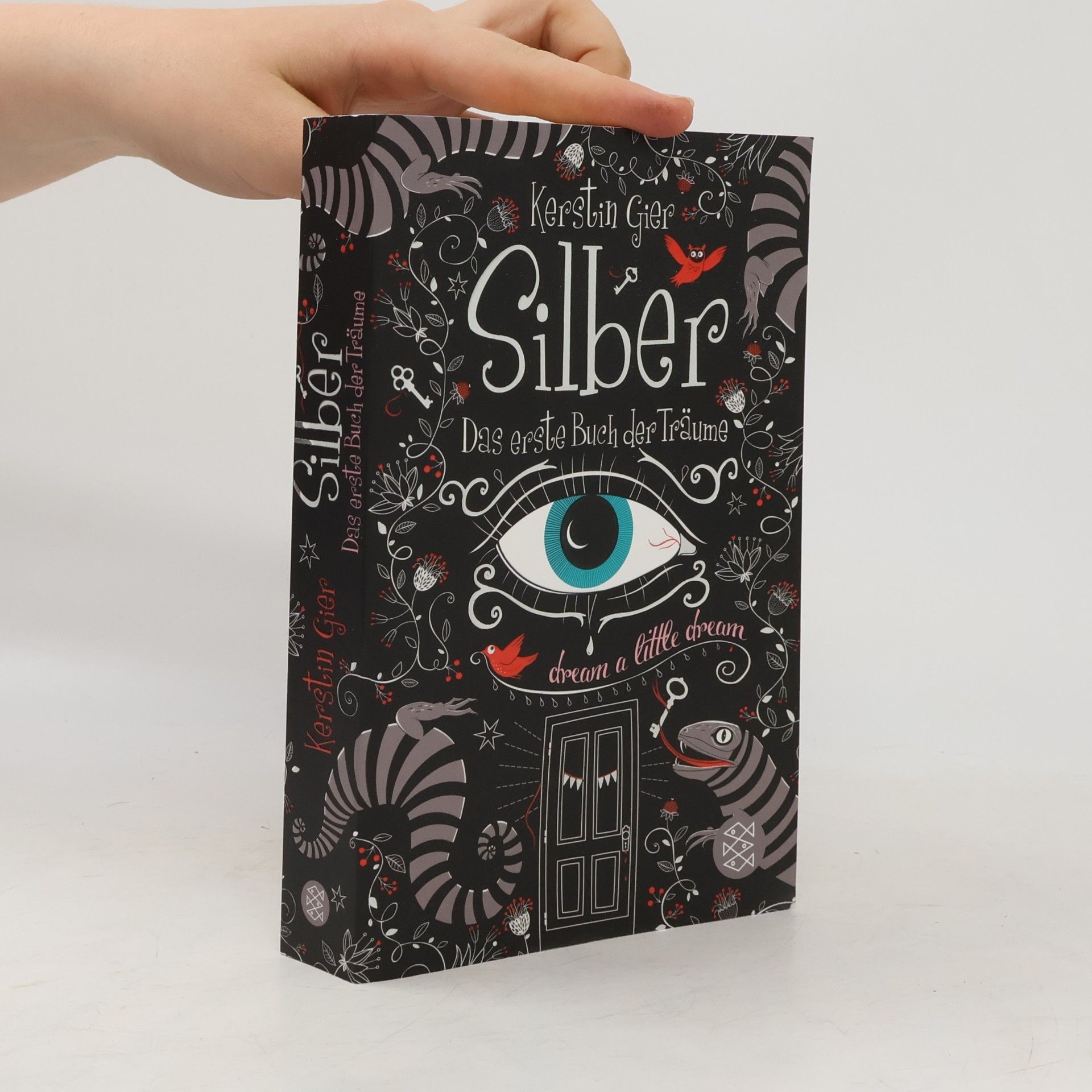 Kerstin Gier Silber. Das erste Buch der Träume