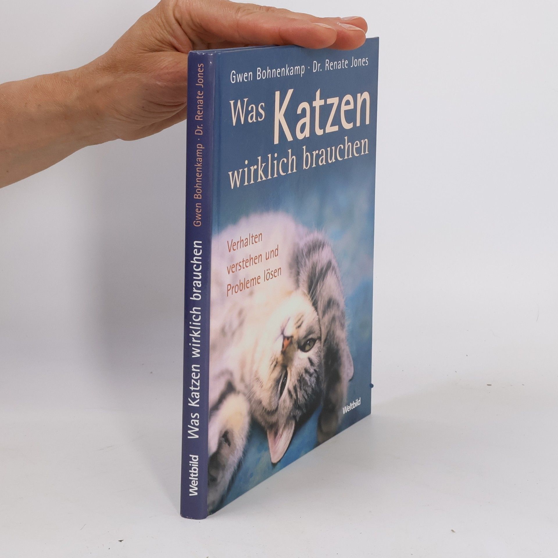 Was Katzen wirklich brauchen