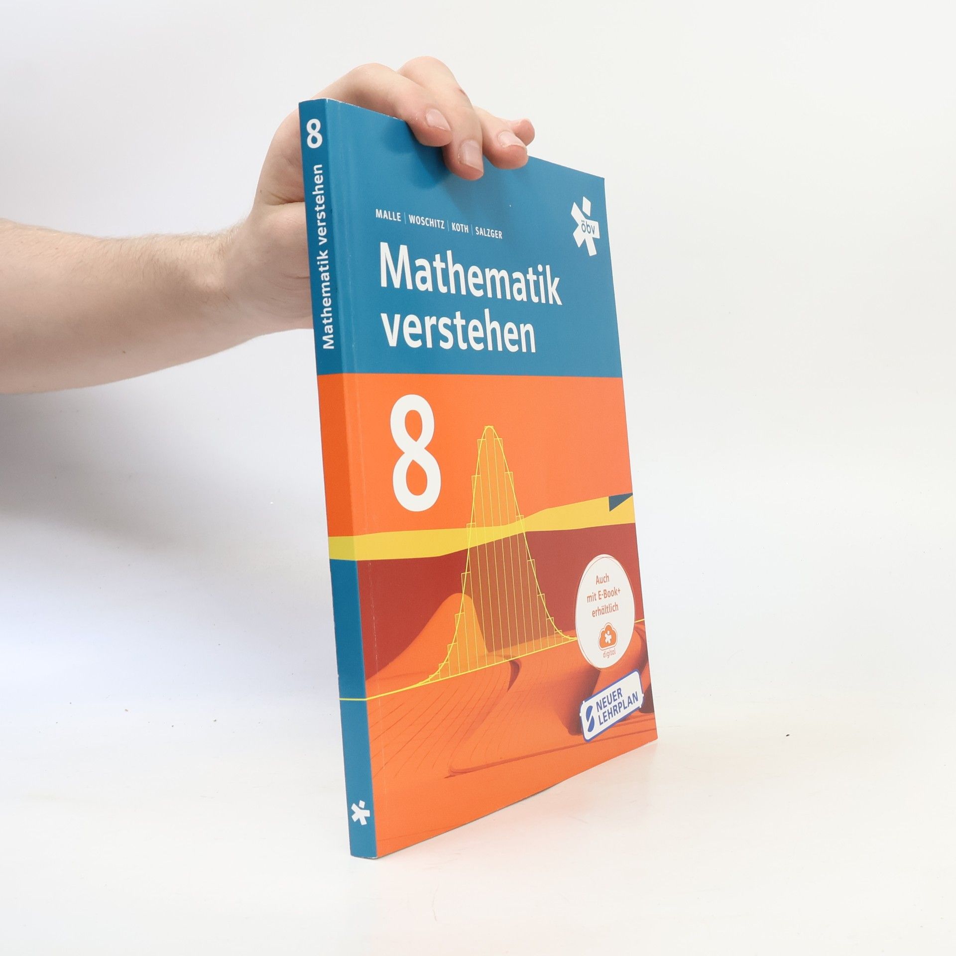 Günther Malle Mathematik verstehen 8