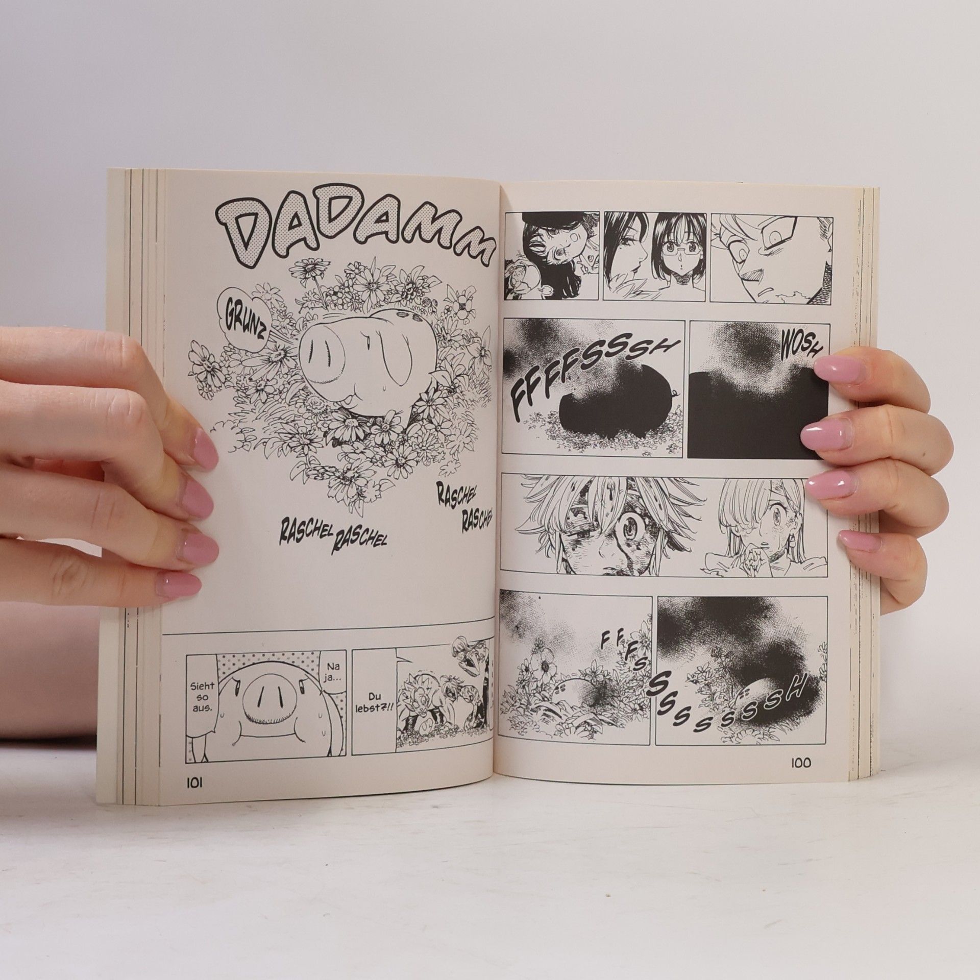 Nakaba Suzuki Seven deadly sins 13