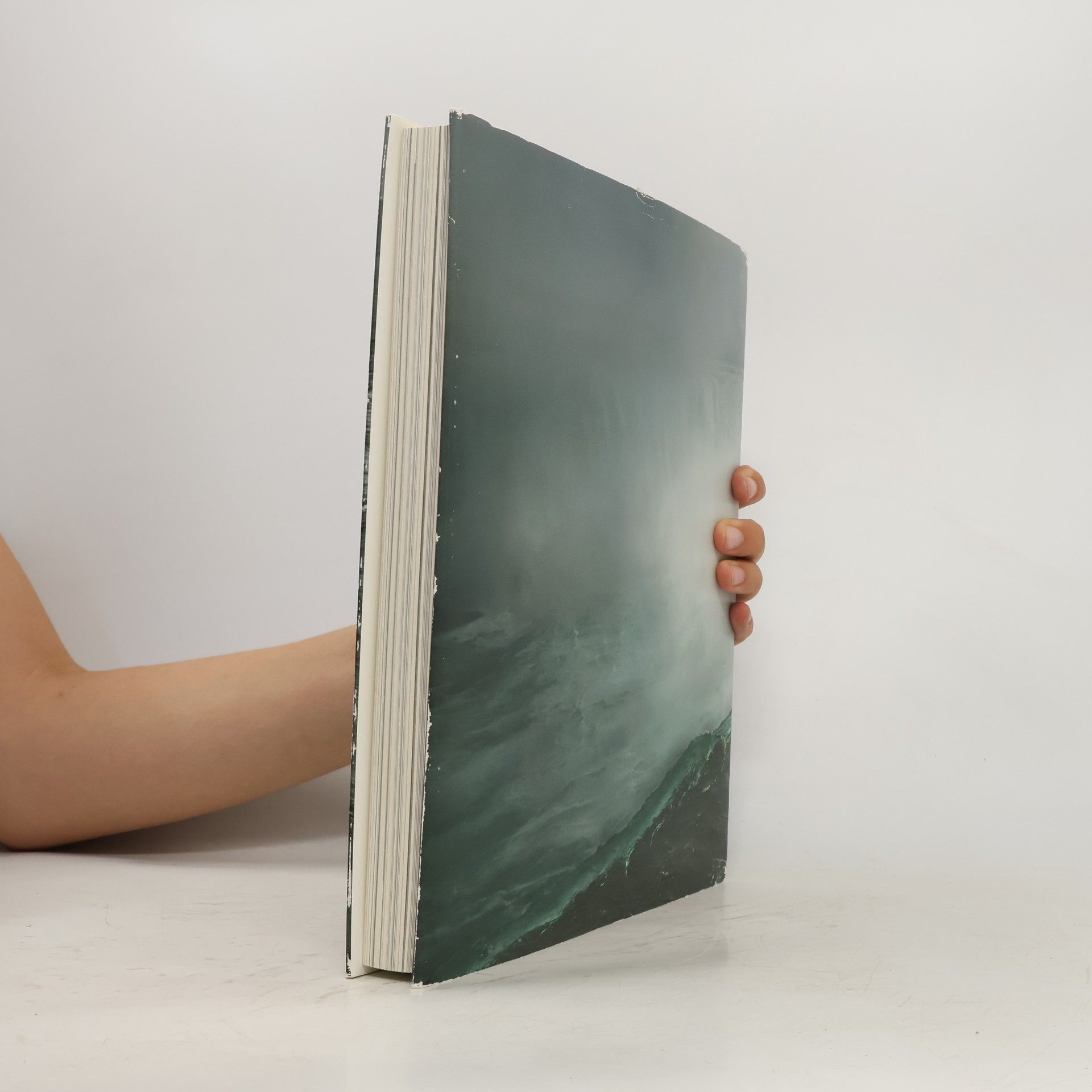 Annie Leibovitz Pilgrimage