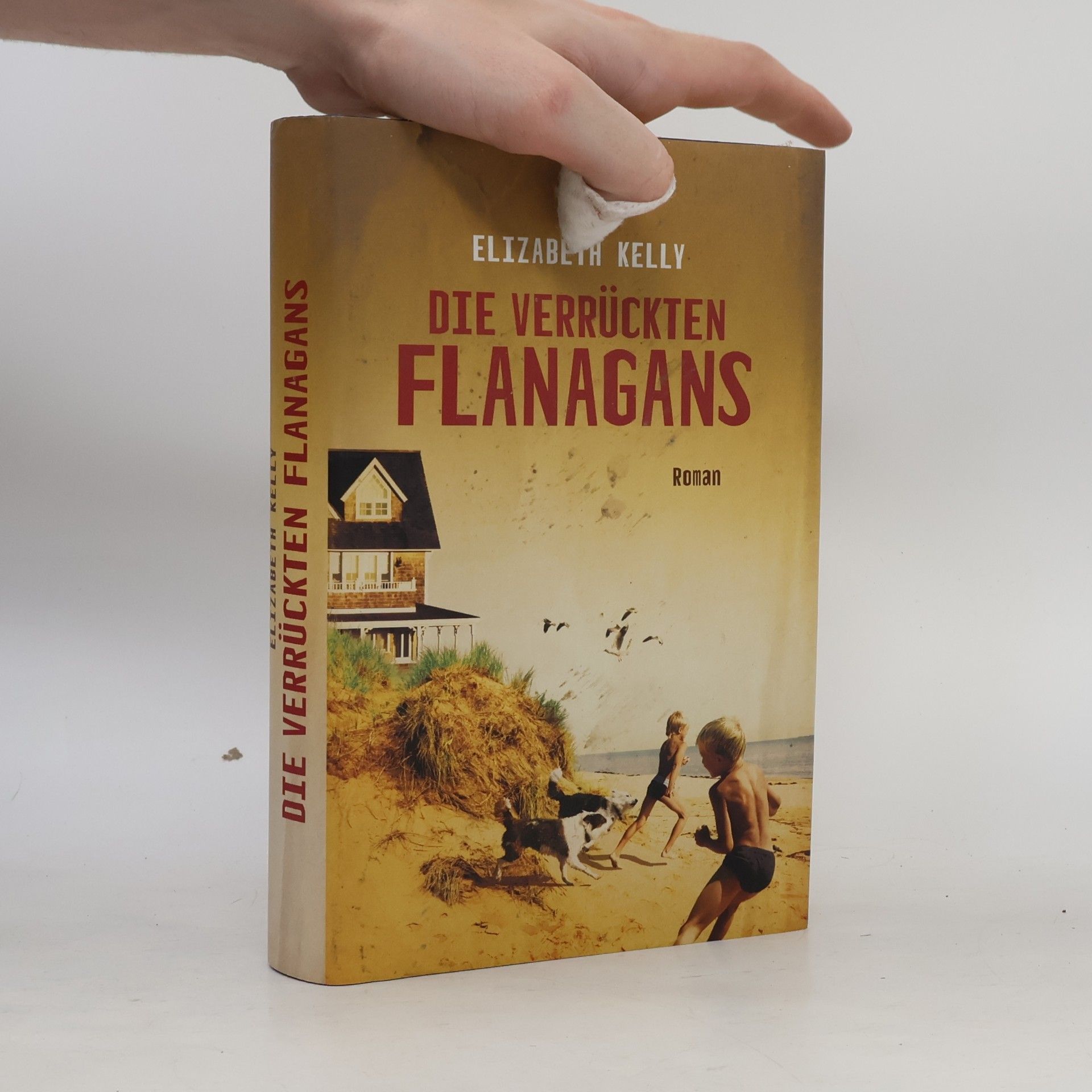 Die verrückten Flanagans