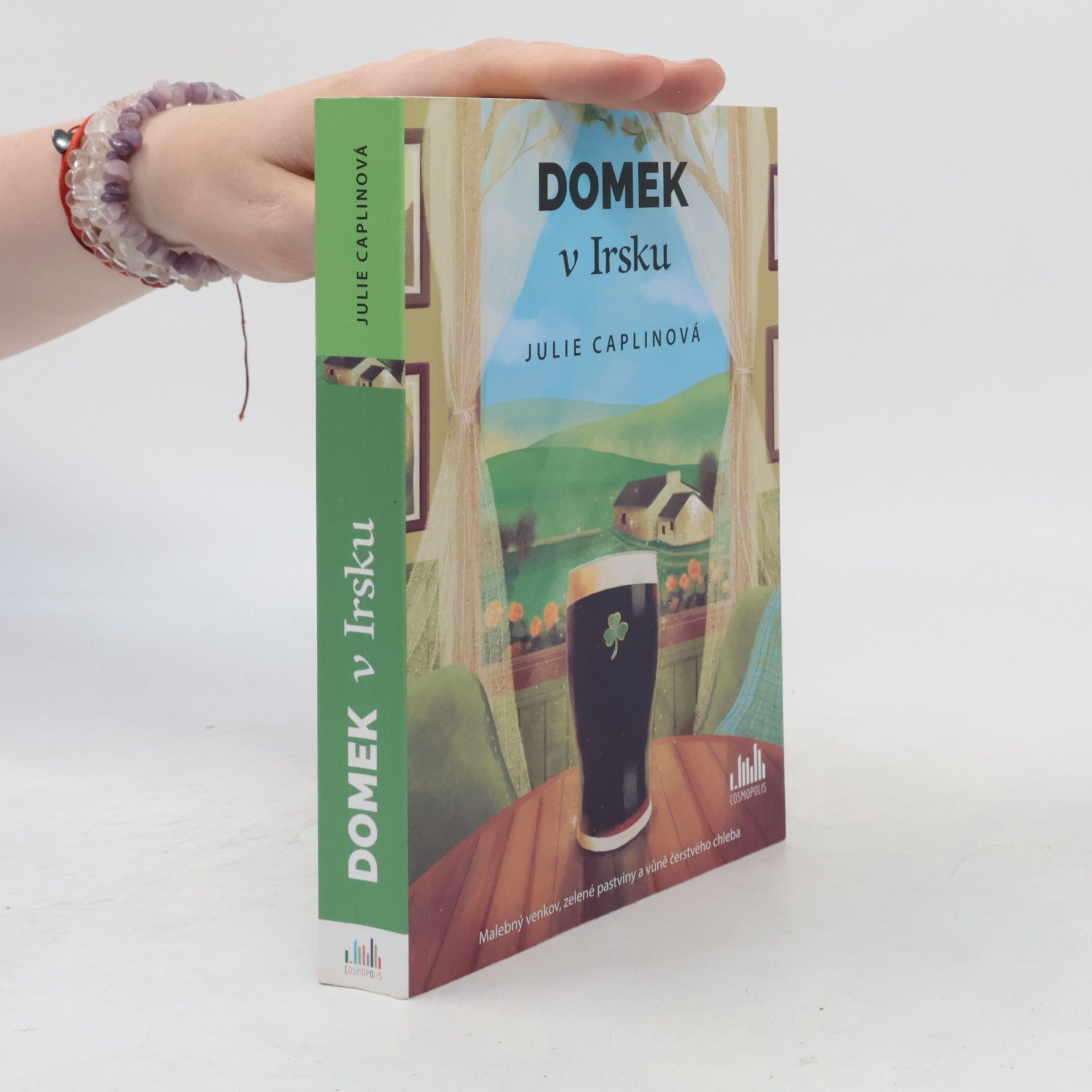 Julie Caplin Domek v Irsku