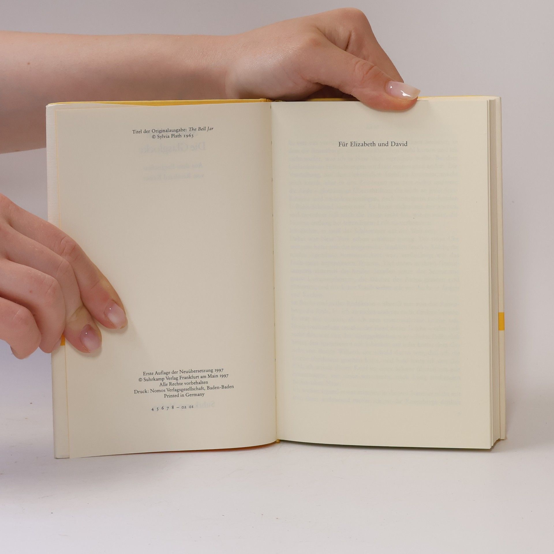 Sylvia Plath Die Glasglocke