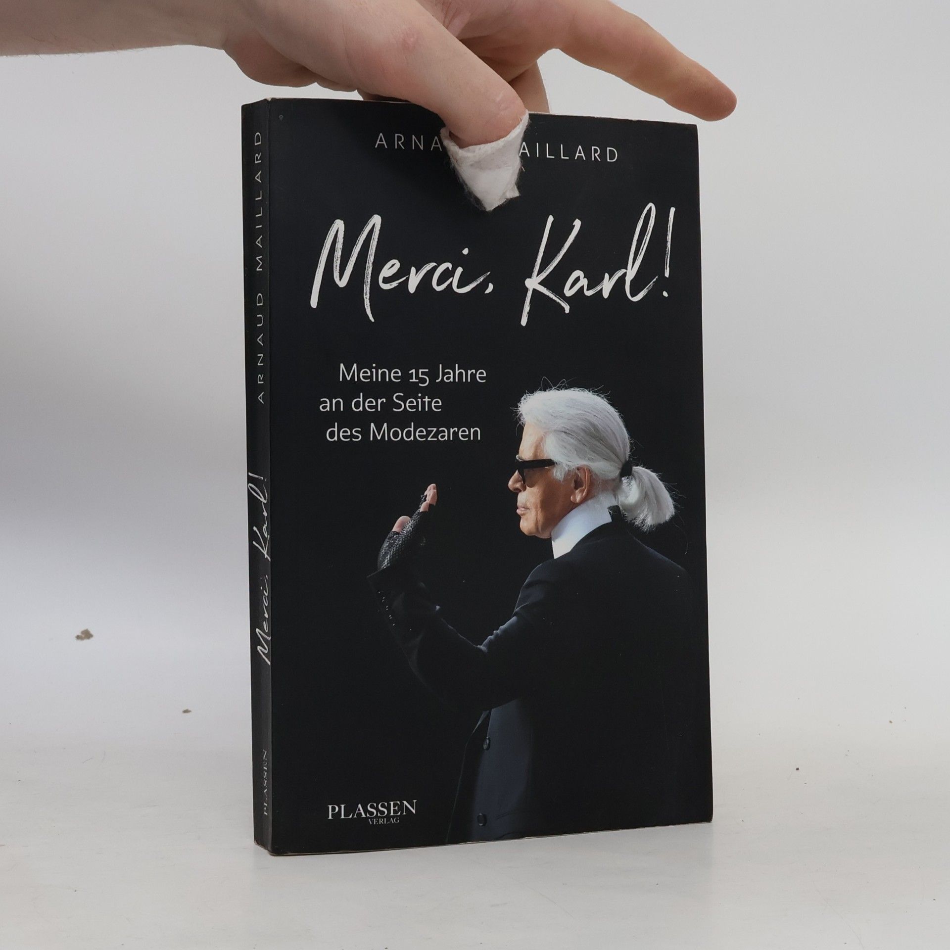 Arnaud Maillard Merci, Karl!