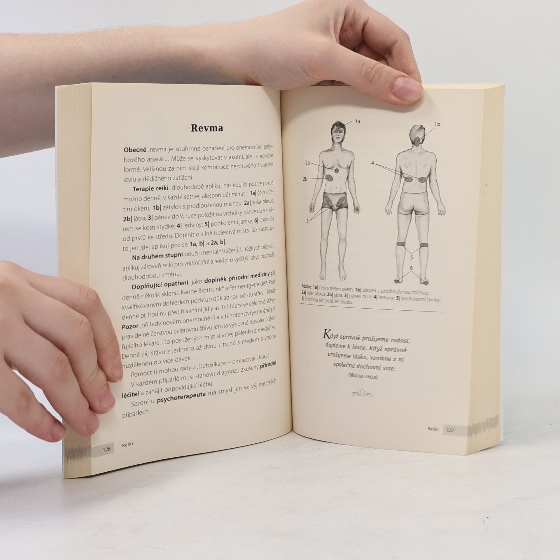 Walter Lübeck Reiki. Domácí lékárna
