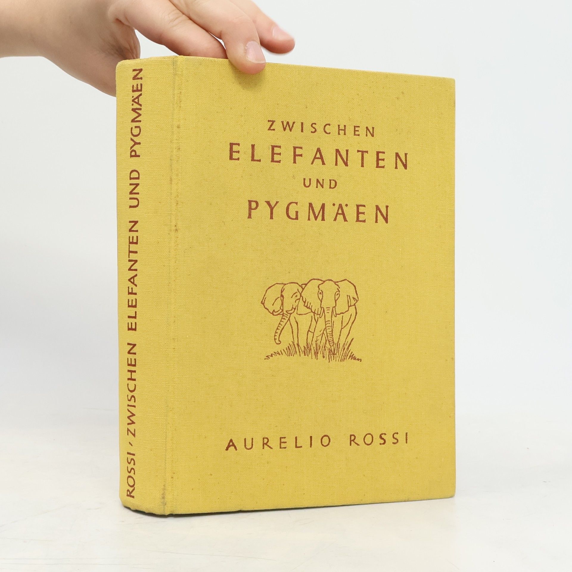 Aurelio Rossi Zwischen elefanten und pygmäen