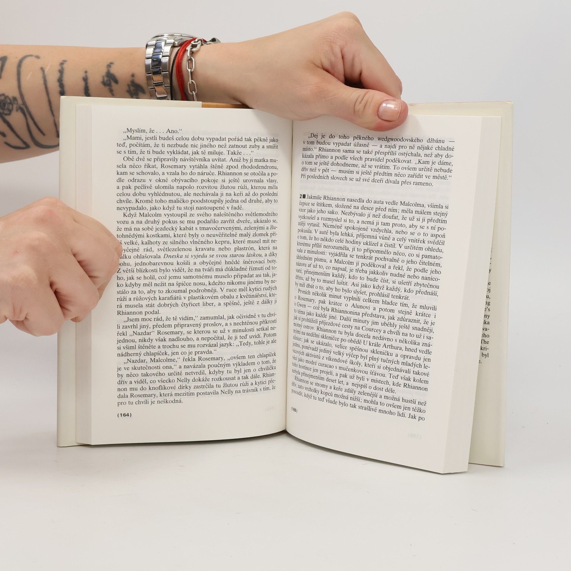 Kingsley Amis Staří parťáci