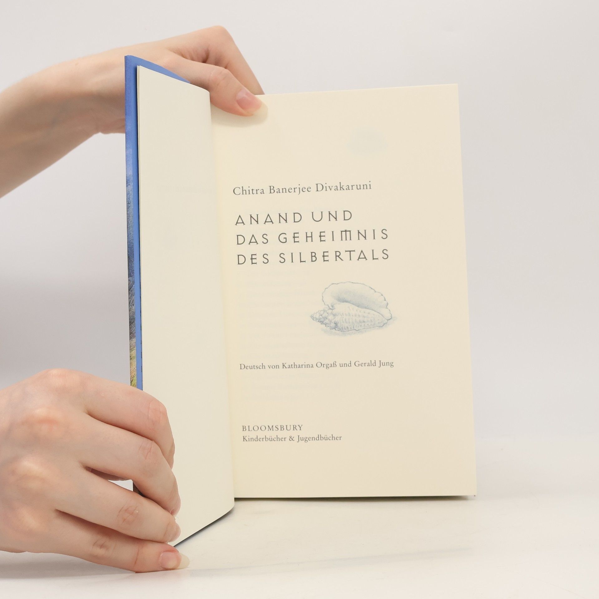 Chitra Banerjee Divakaruni Anand und das Geheimnis des Silbertals