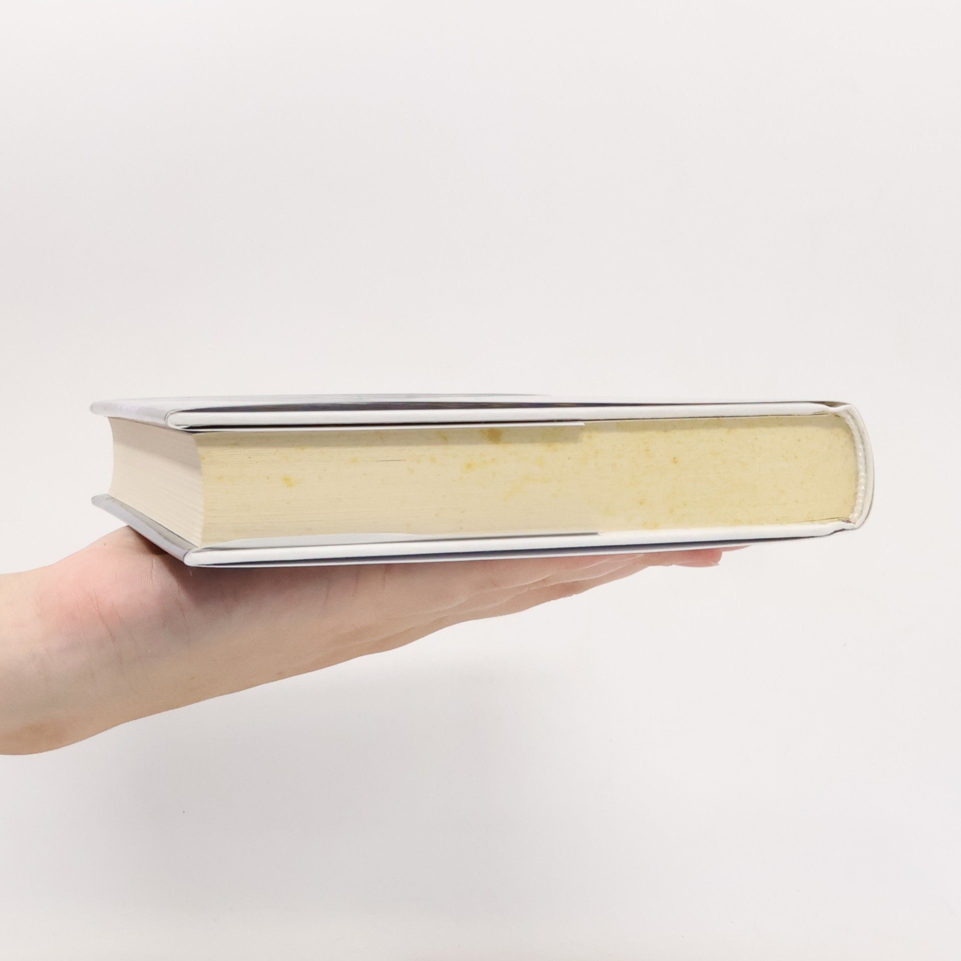 Neale Donald Walsch Jediné, na čem záleží : 2. kniha série Hovory s lidstvem