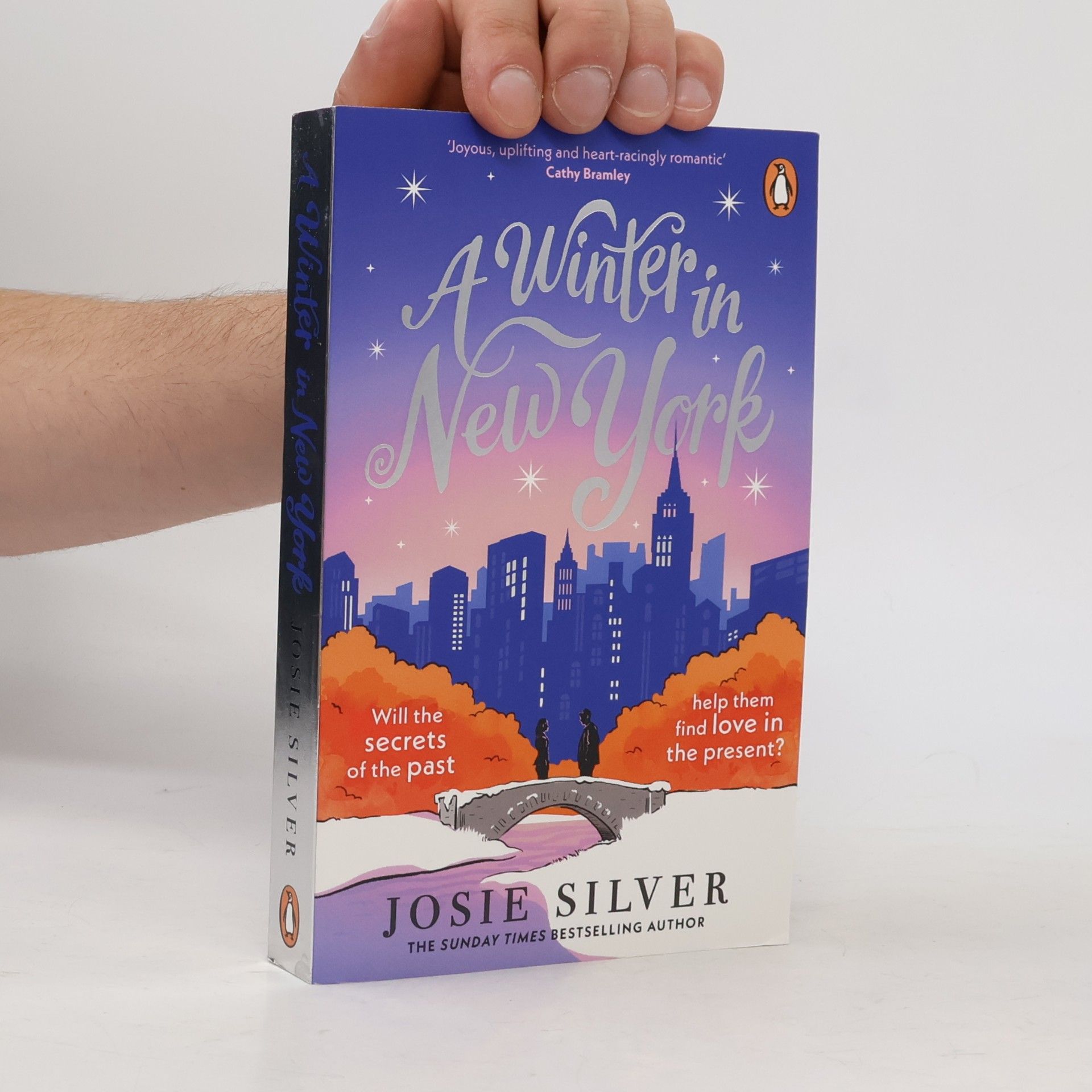 Josie Silver A Winter in New York