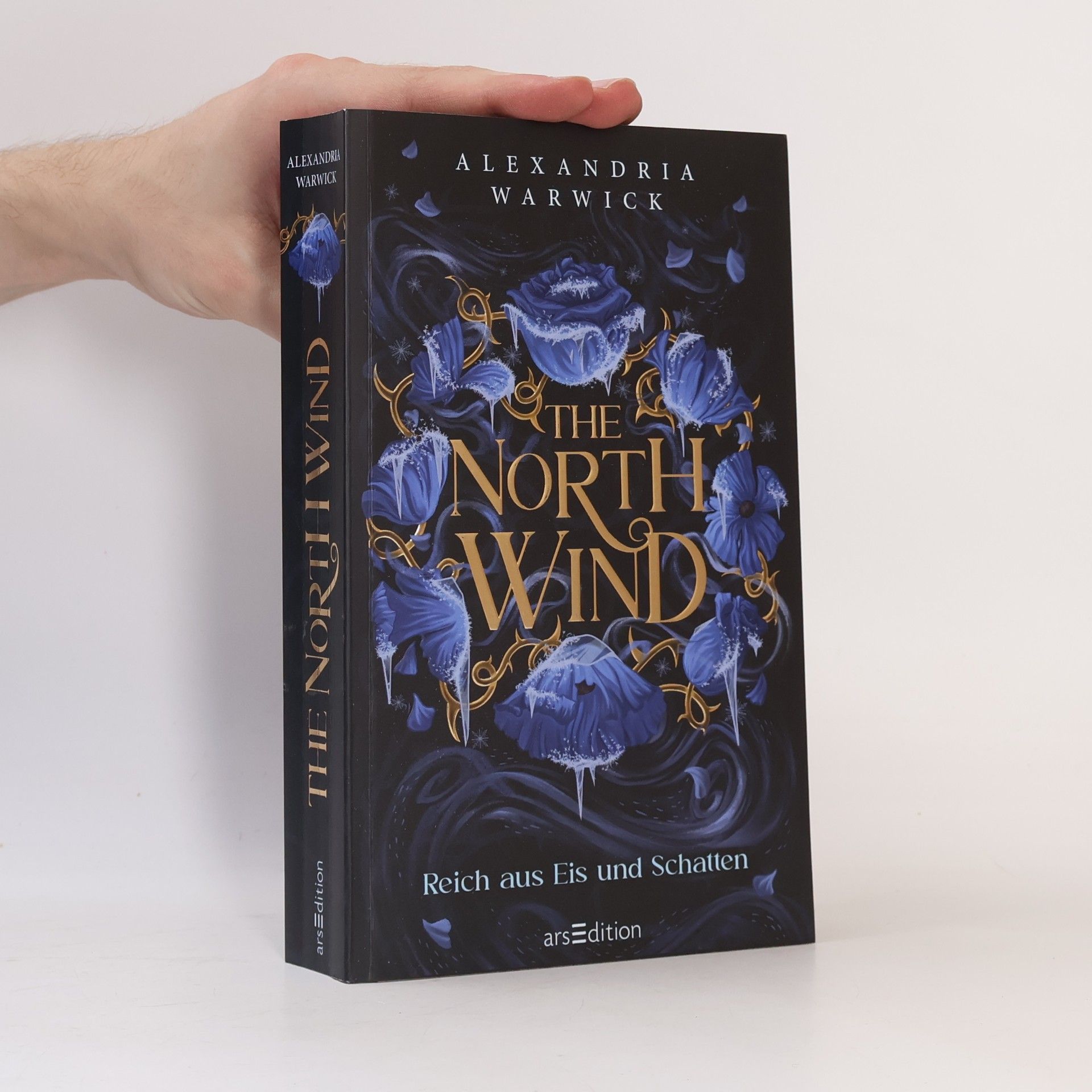 Alexandria Warwick The North Wind - Reich aus Eis und Schatten