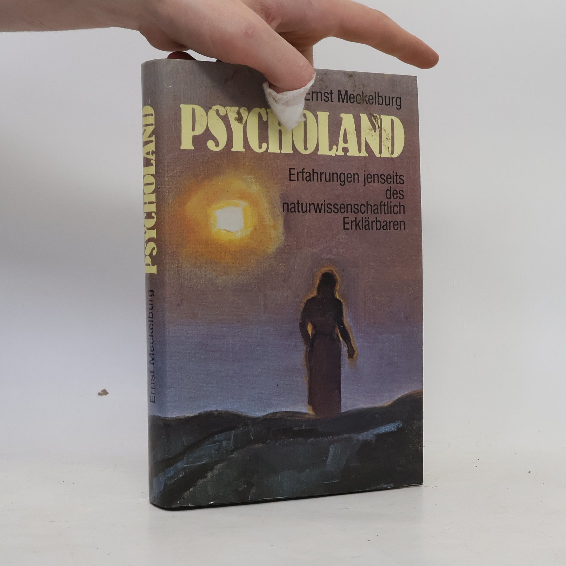 Ernst Meckelburg Psycholand