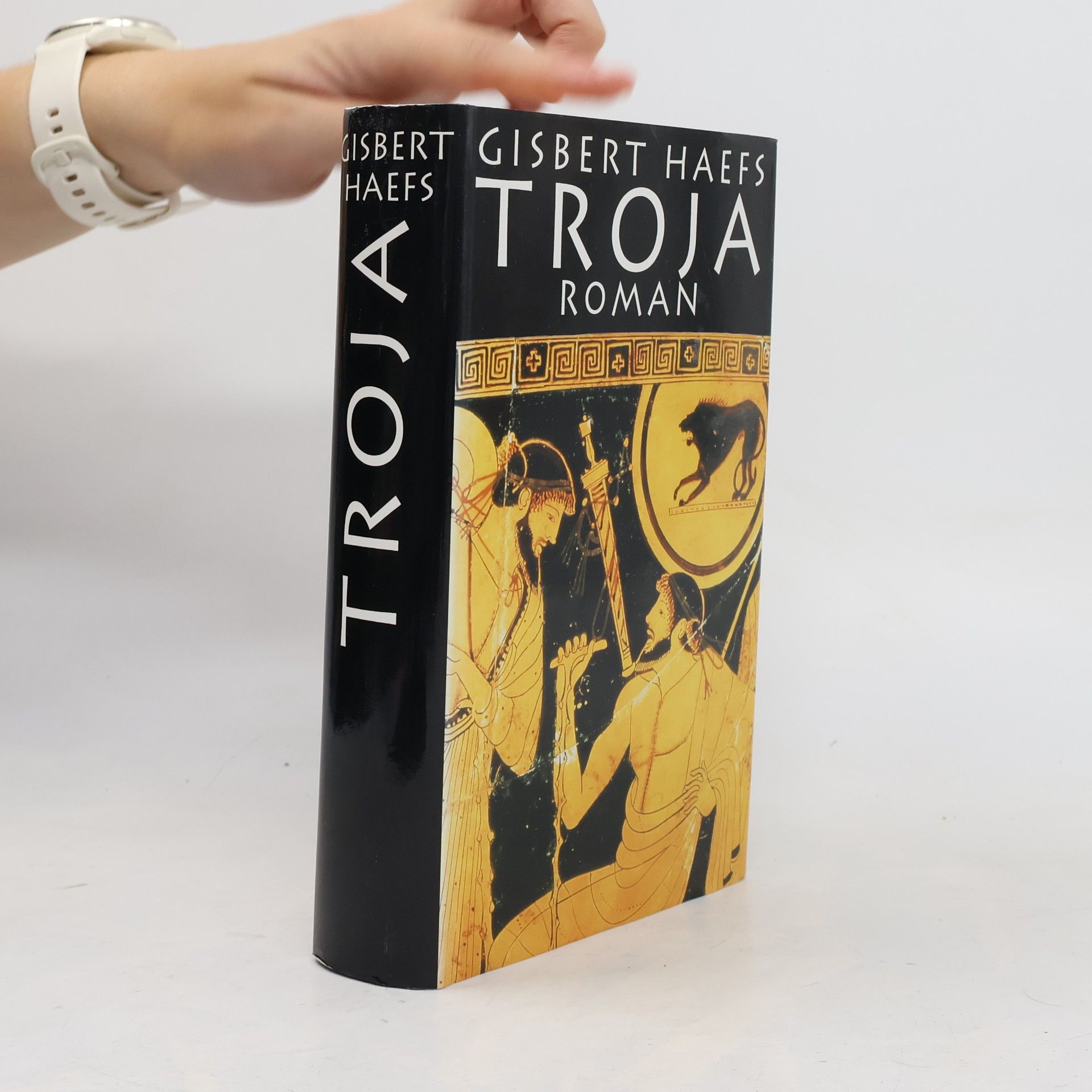 Gisbert Haefs Troja