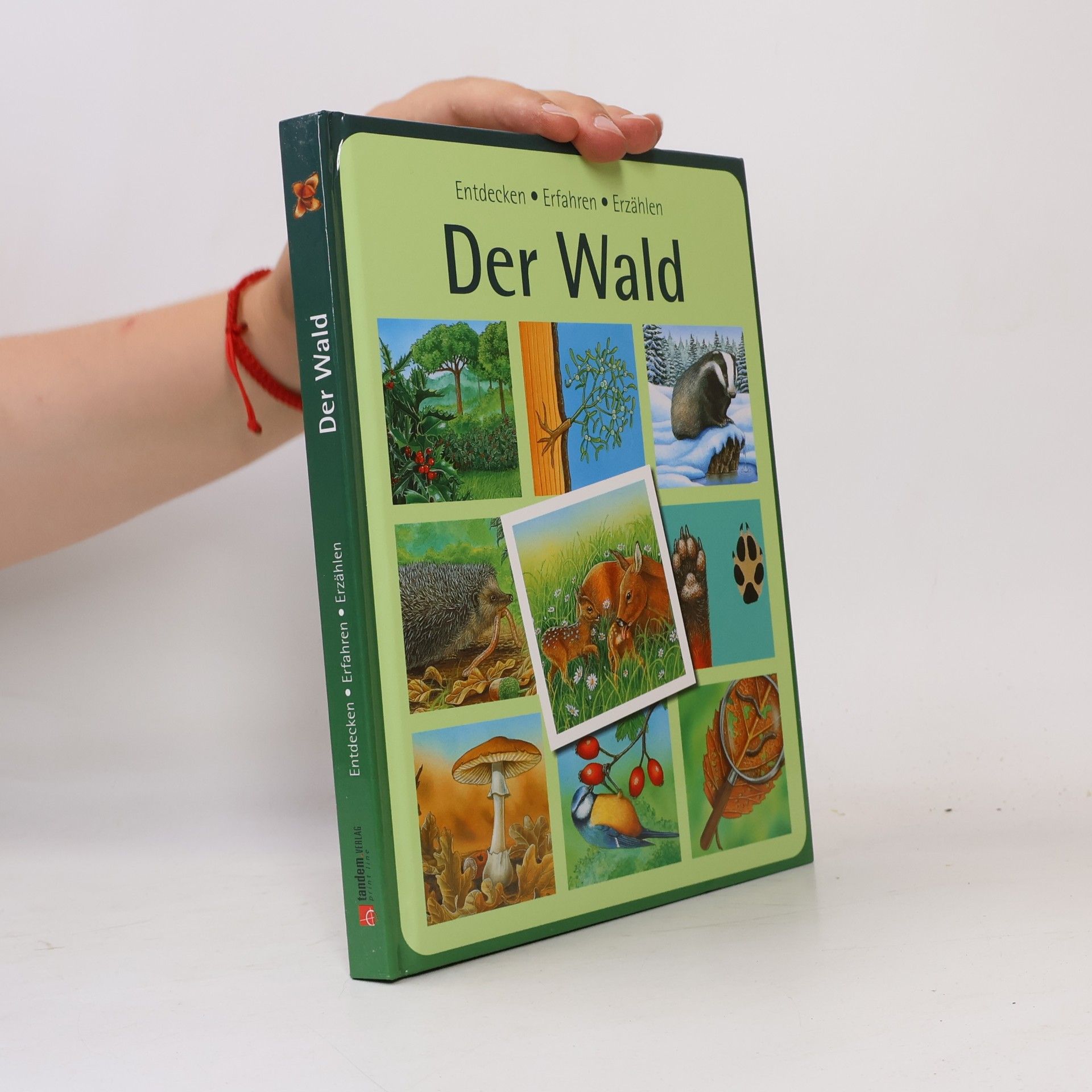 Kolektiv autorů Der Wald