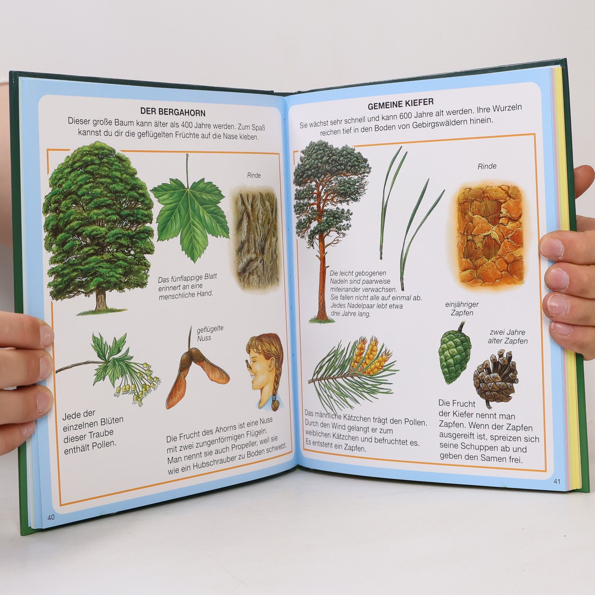 Auteurscollectief Der Wald