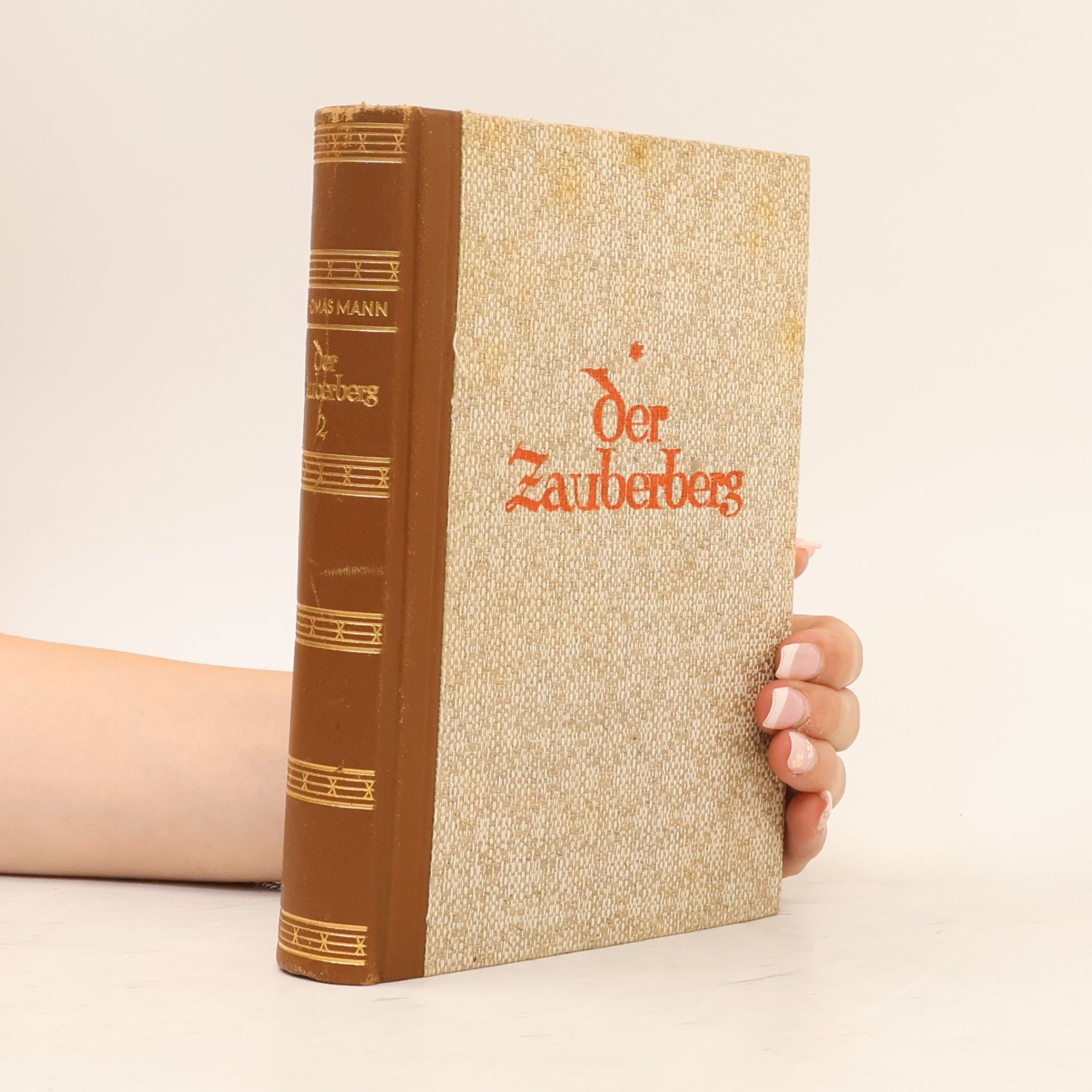 Thomas Mann Der Zaüberberg 2