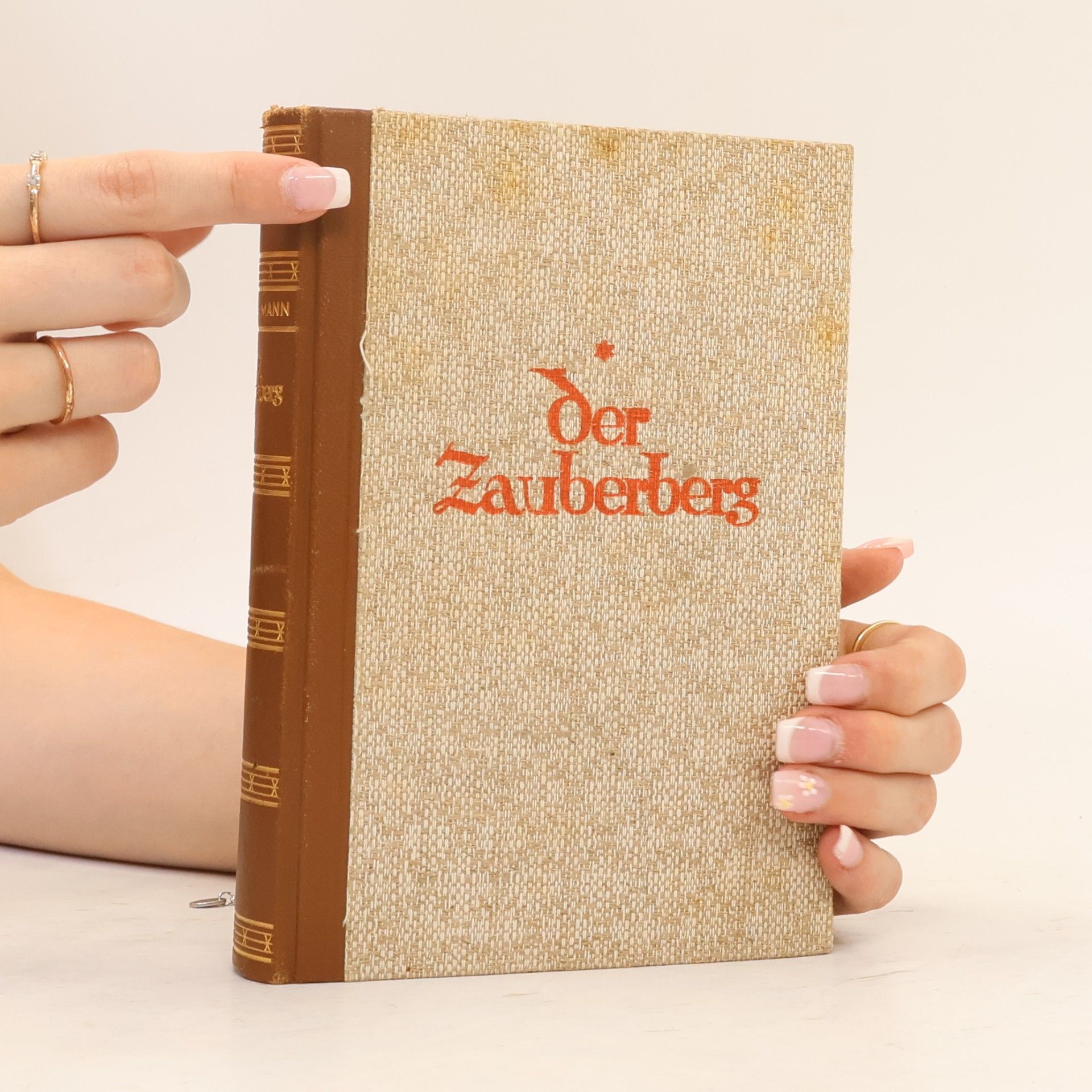 Thomas Mann Der Zaüberberg 2