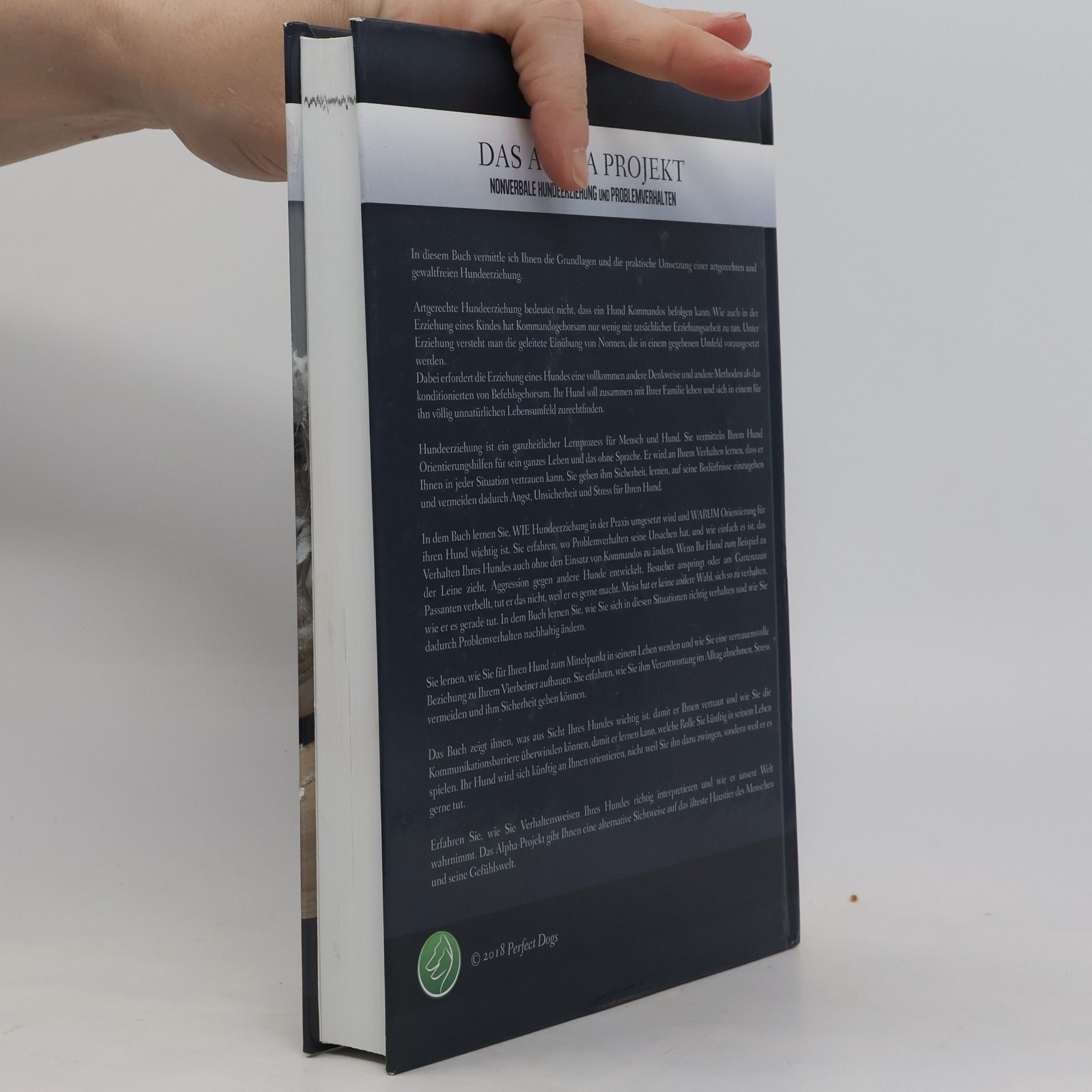 Raik Labjon Das Alpha Projekt
