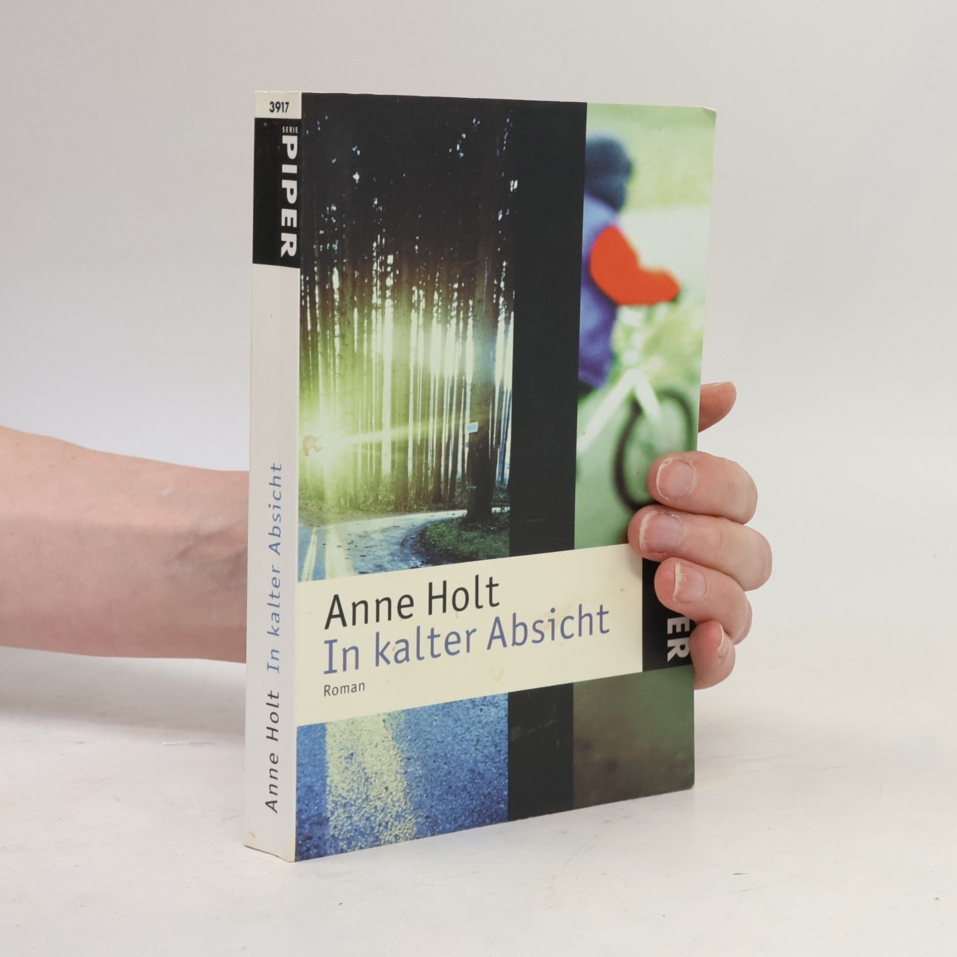 Anne Holt In kalter Absicht