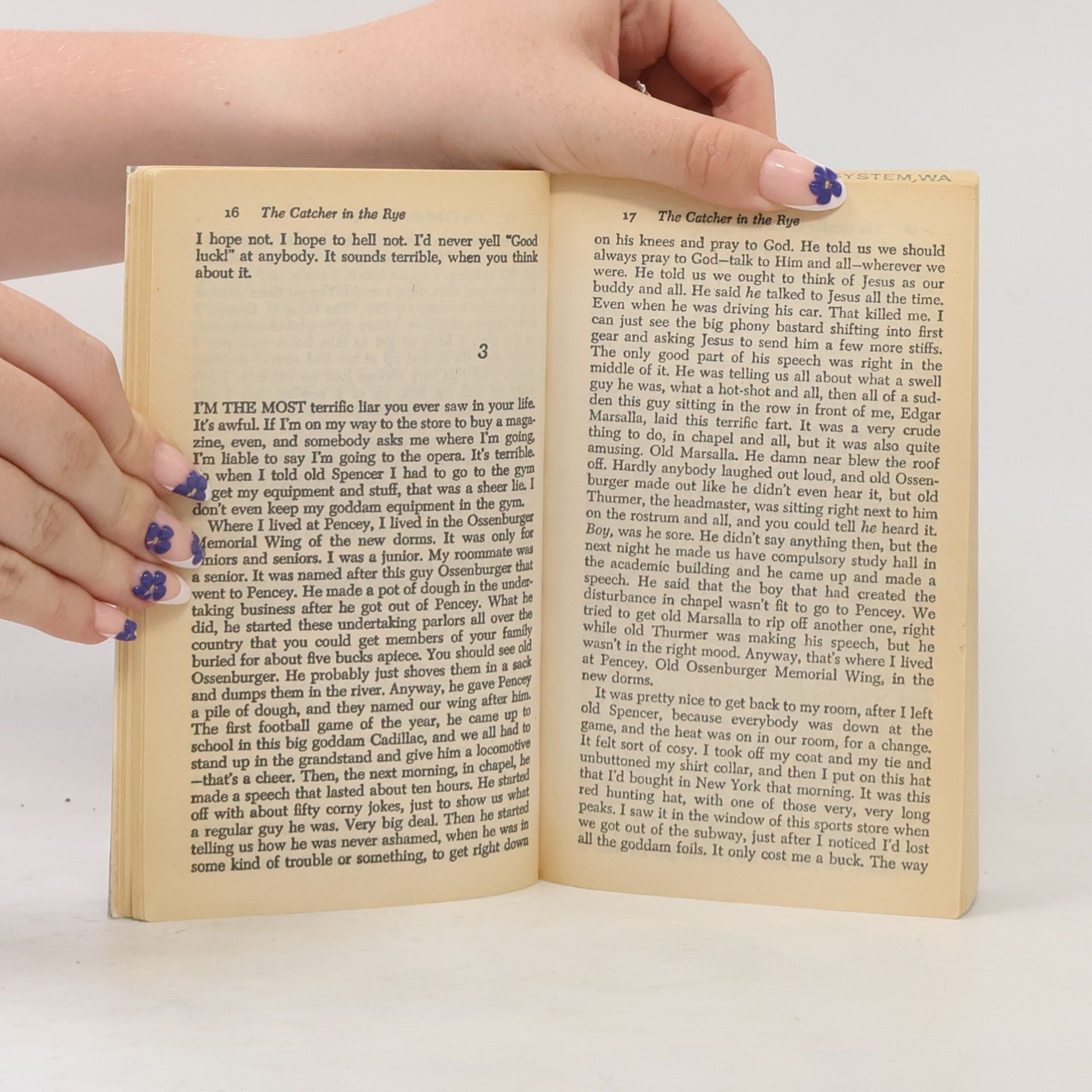 J. D. Salinger The catcher in the rye