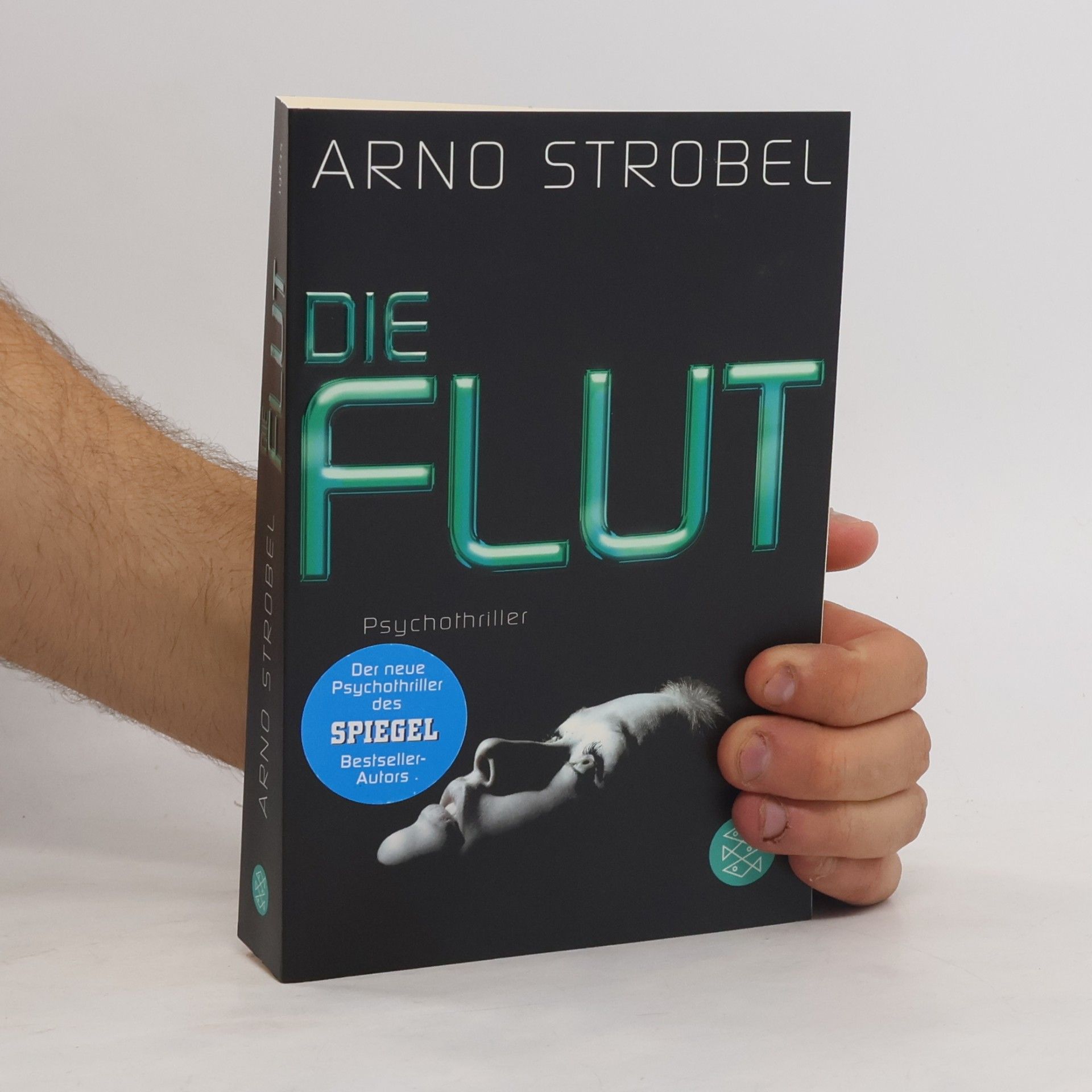 Arno Strobel Die Flut