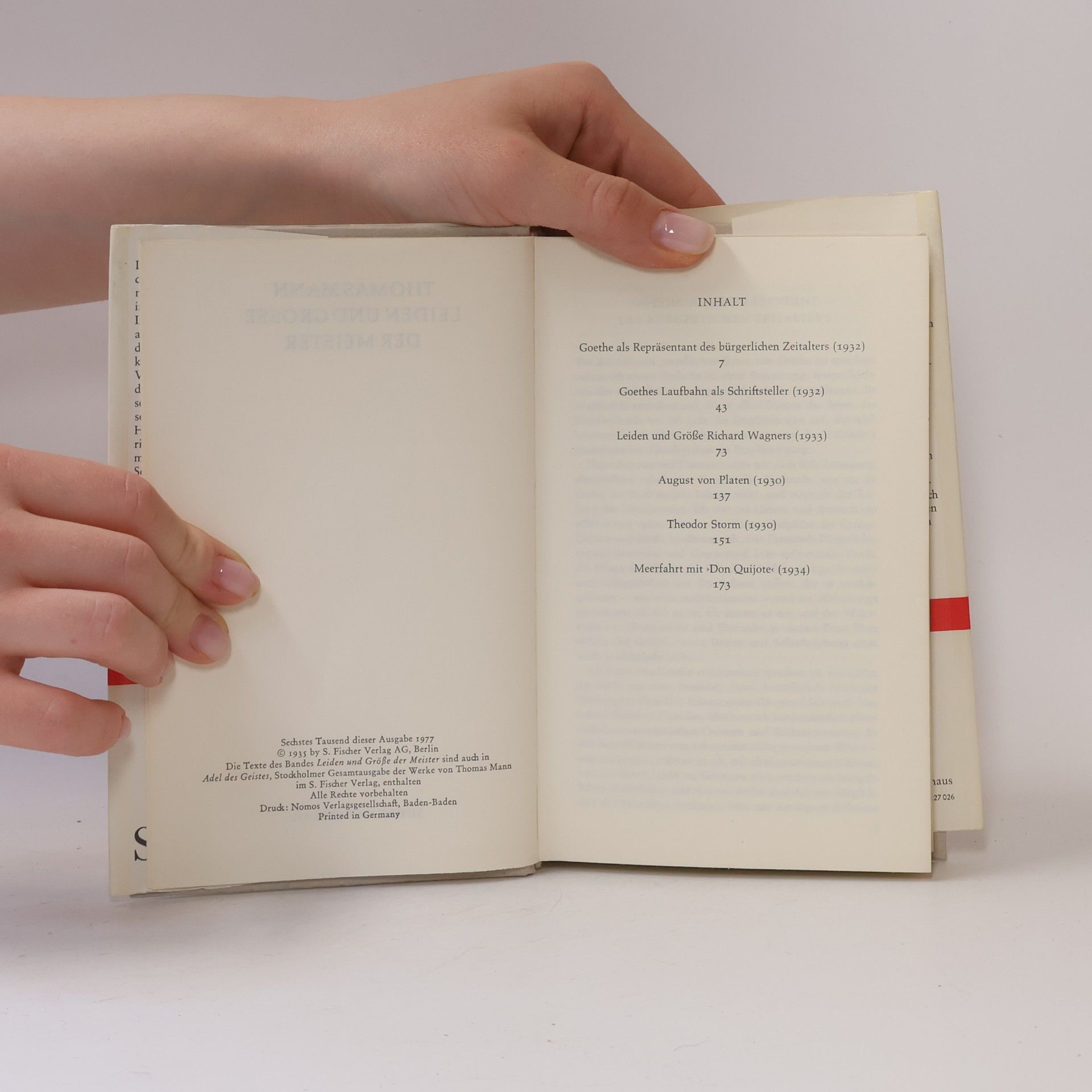 Thomas Mann Leiden und Größe der Meister