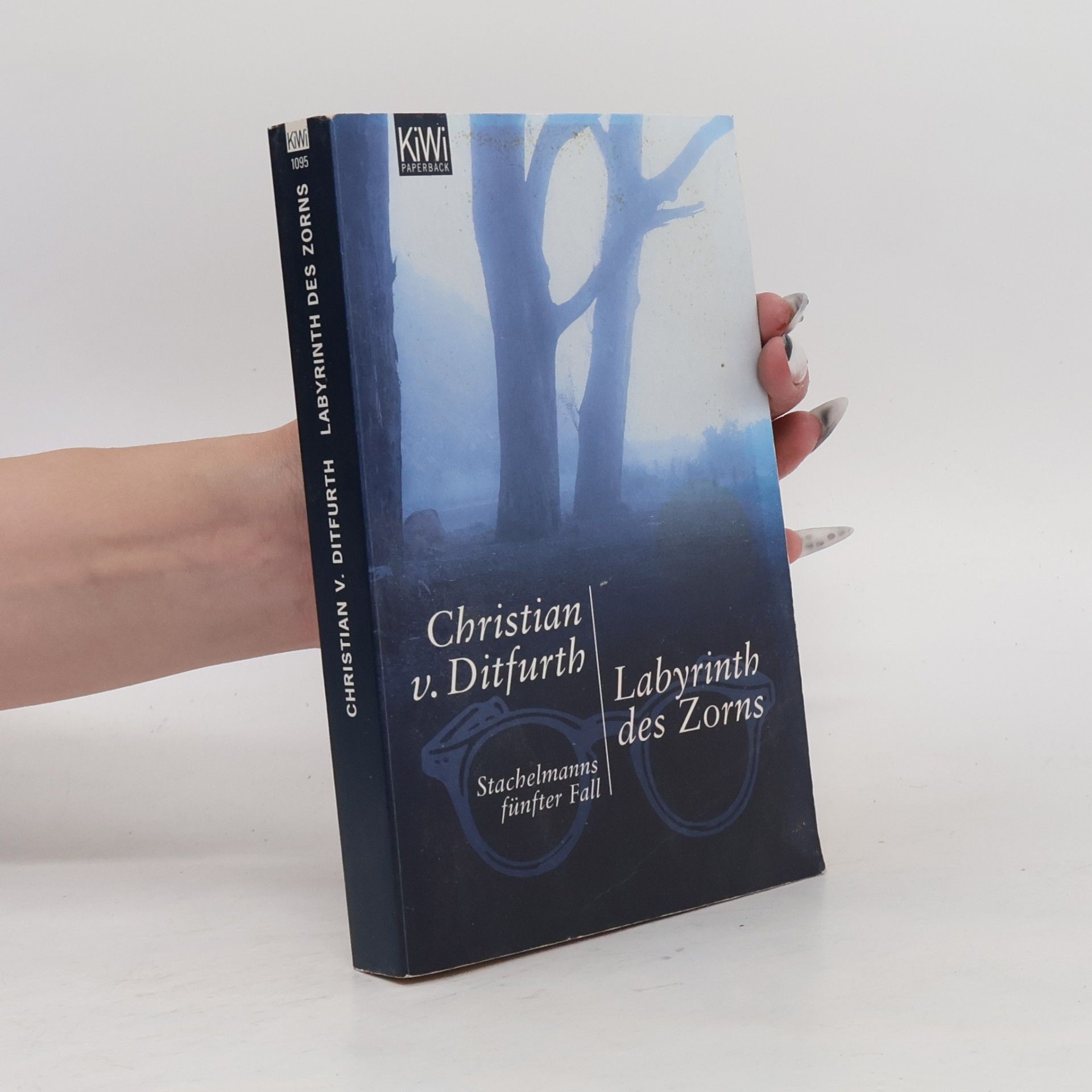 Christian v. Ditfurth Labyrinth des Zorns