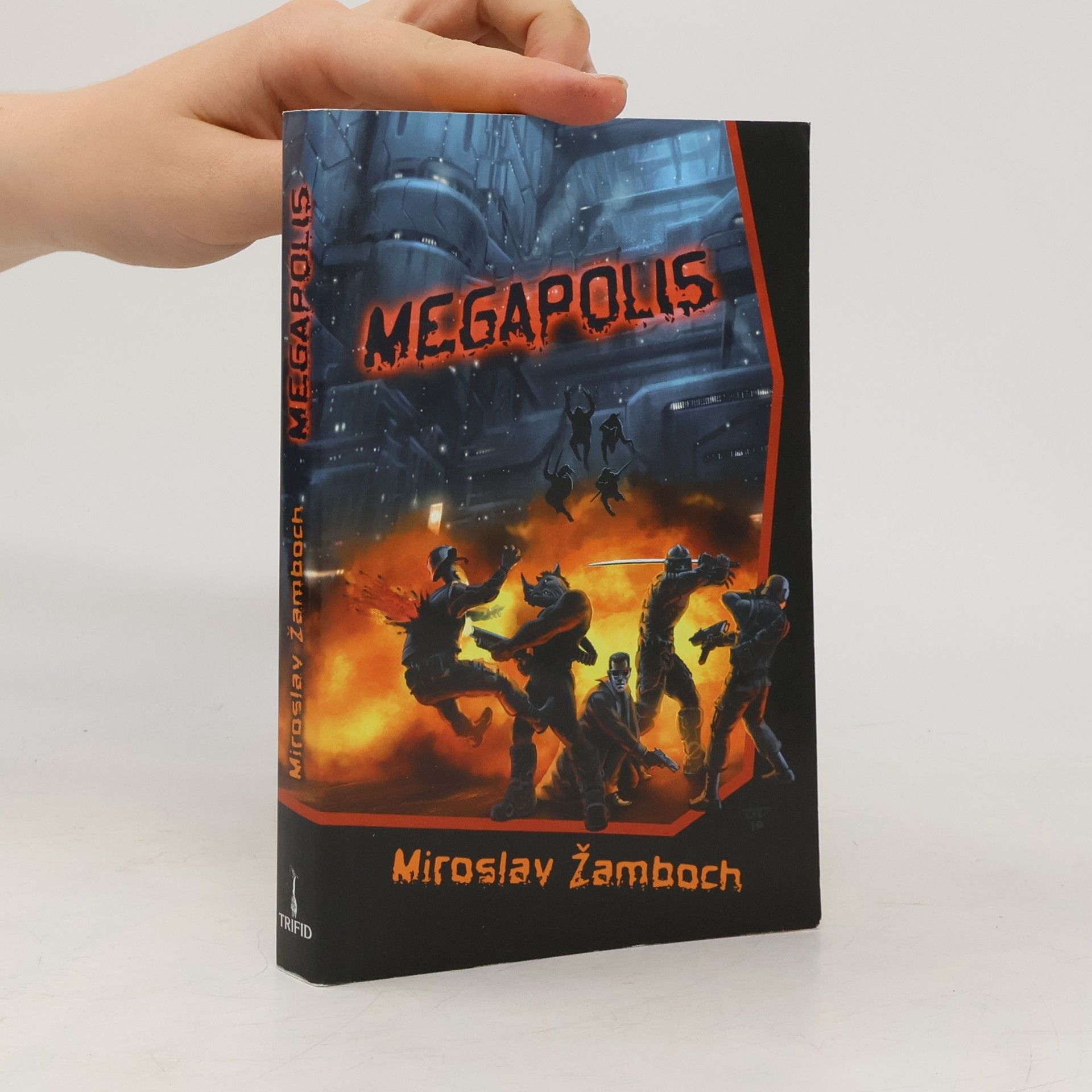Miroslav Žamboch Megapolis