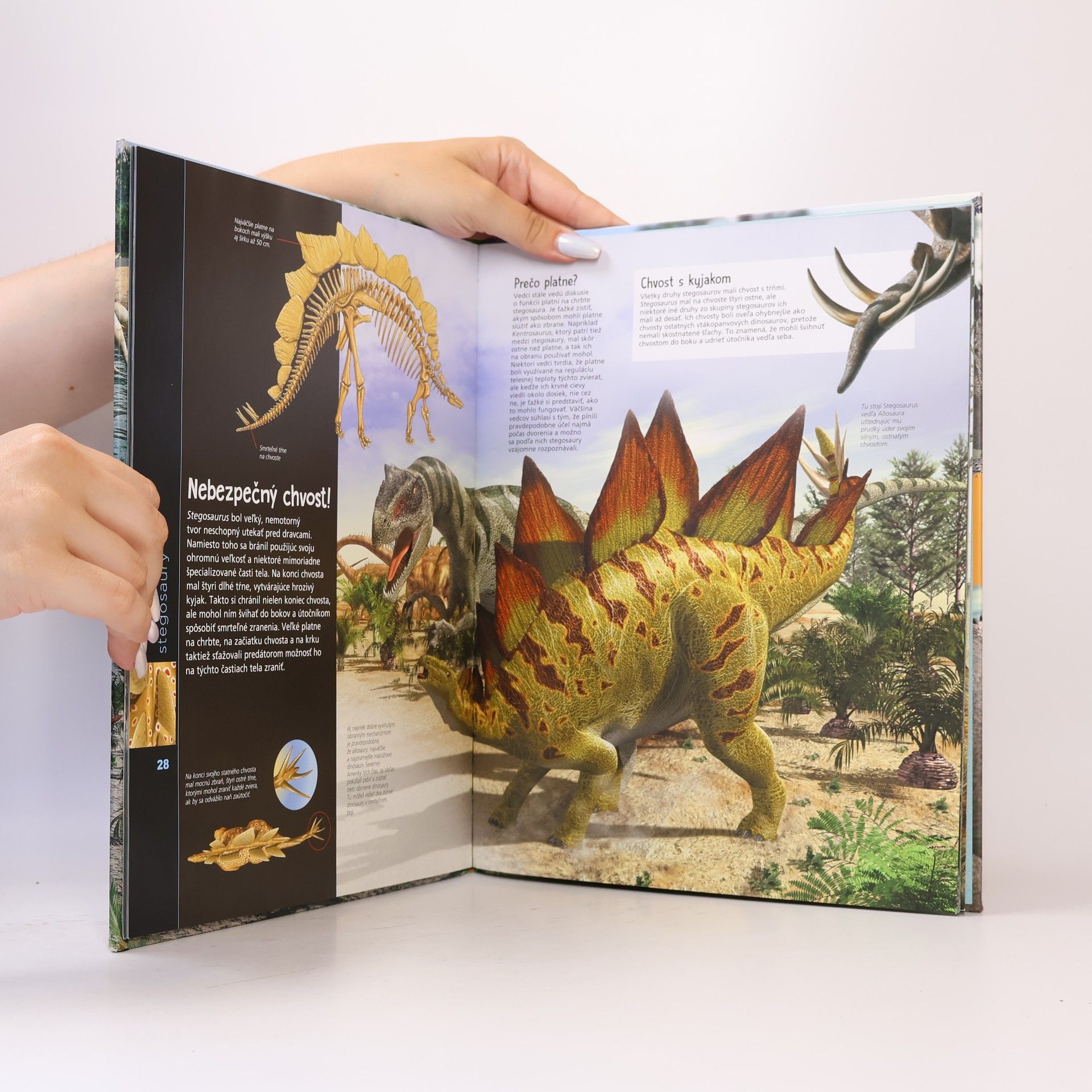 Autorenkollektiv Skutočný svet dinosaurov