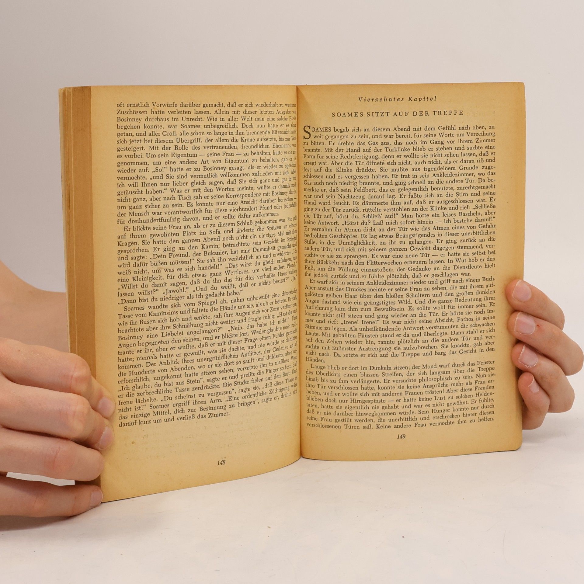 John Galsworthy Das Schicksal der Irene Forsyte