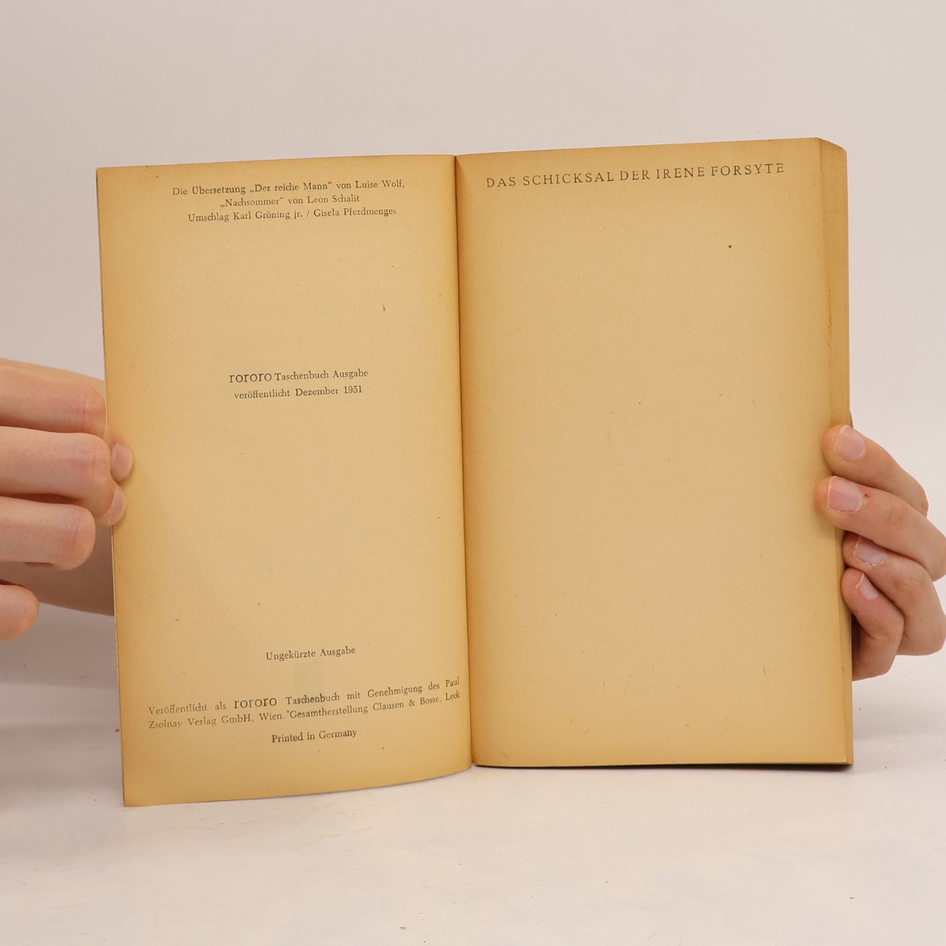 John Galsworthy Das Schicksal der Irene Forsyte