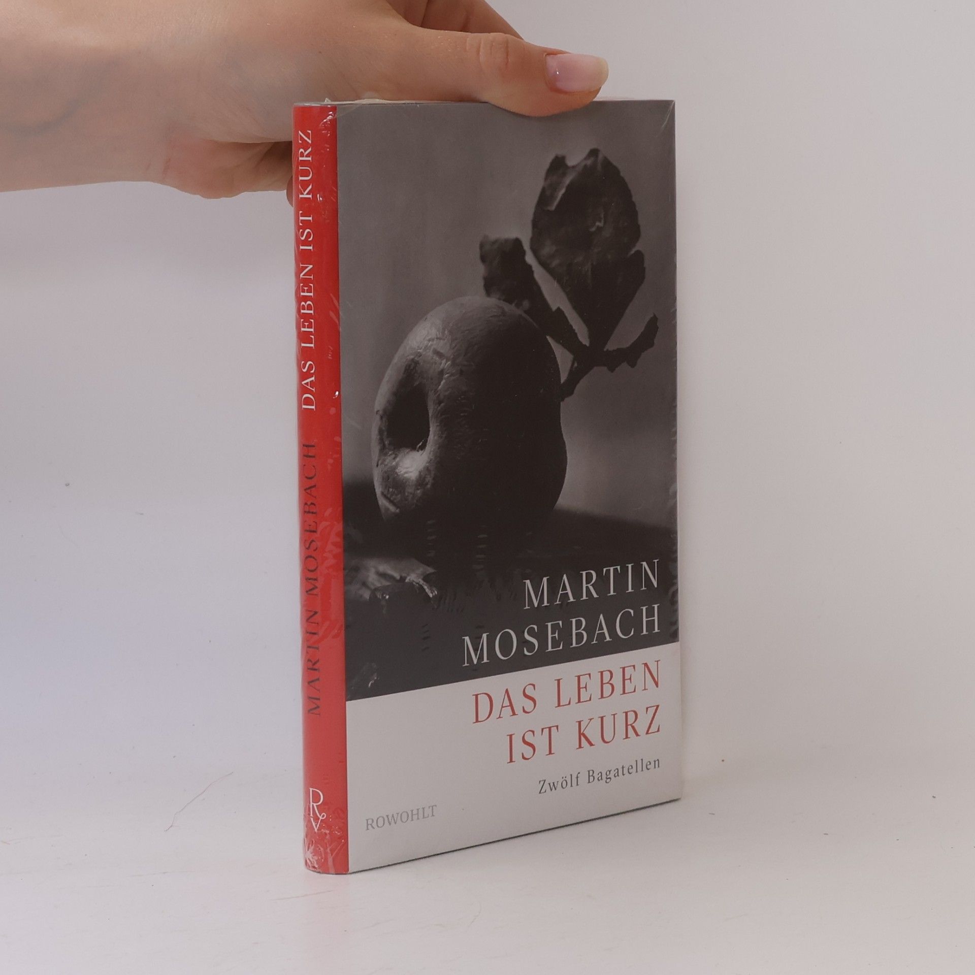 Martin Mosebach Das Leben ist kurz