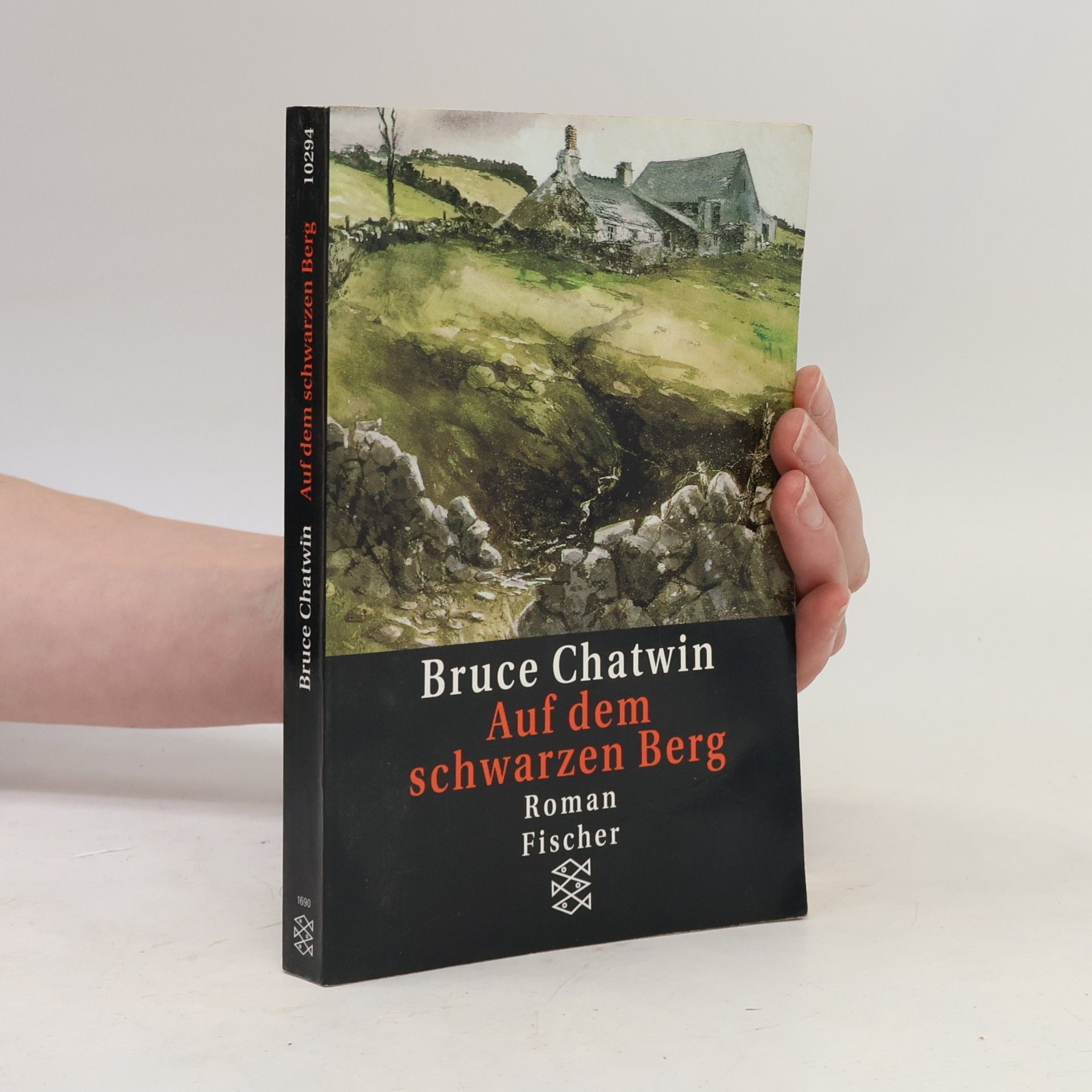 Bruce Chatwin Auf dem schwarzen Berg