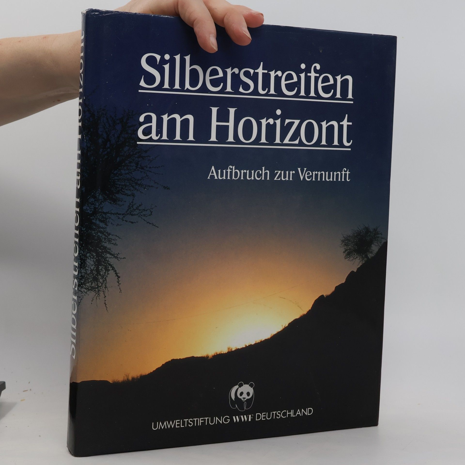 Autorenkollektiv Silberstreifen am Horizont