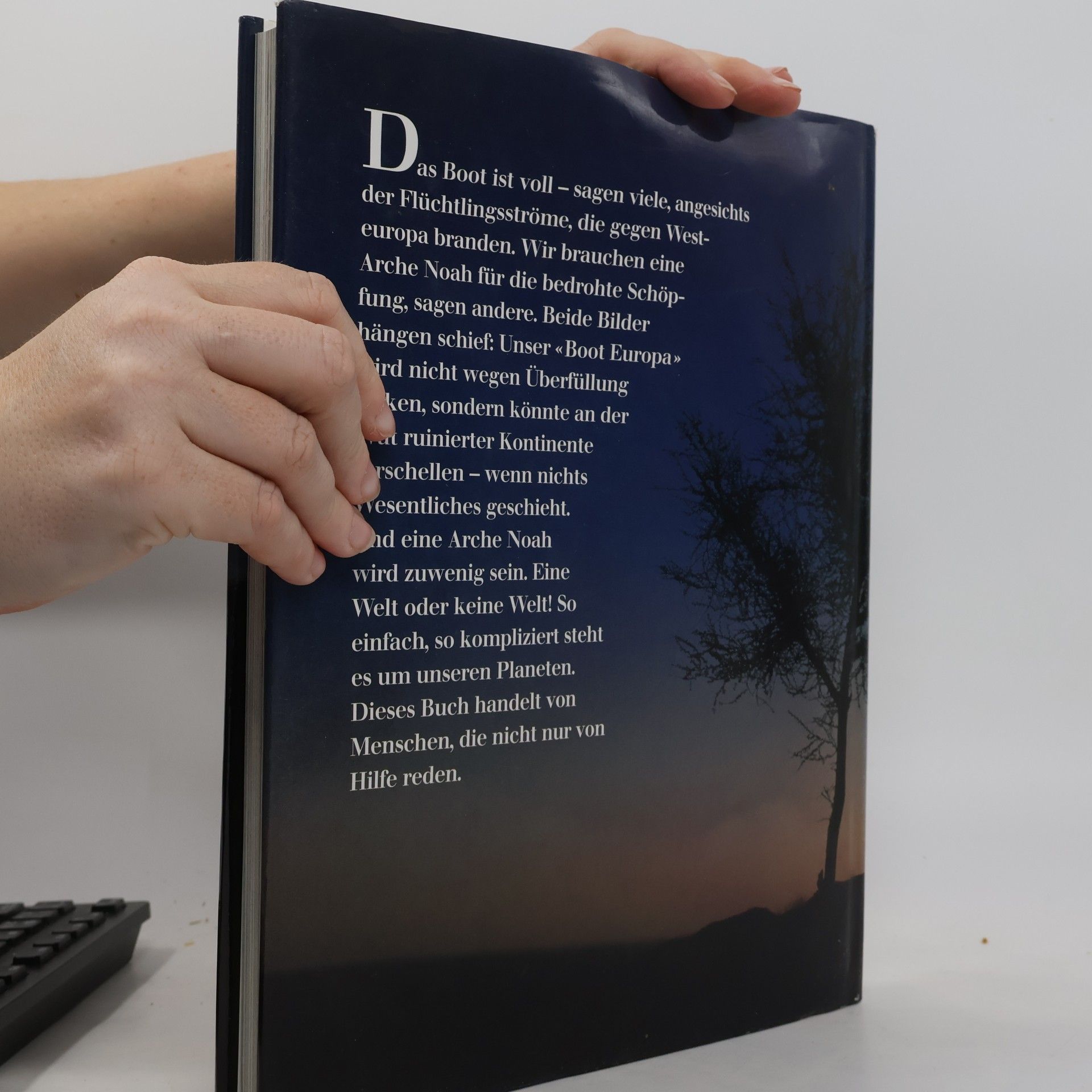 Autorenkollektiv Silberstreifen am Horizont