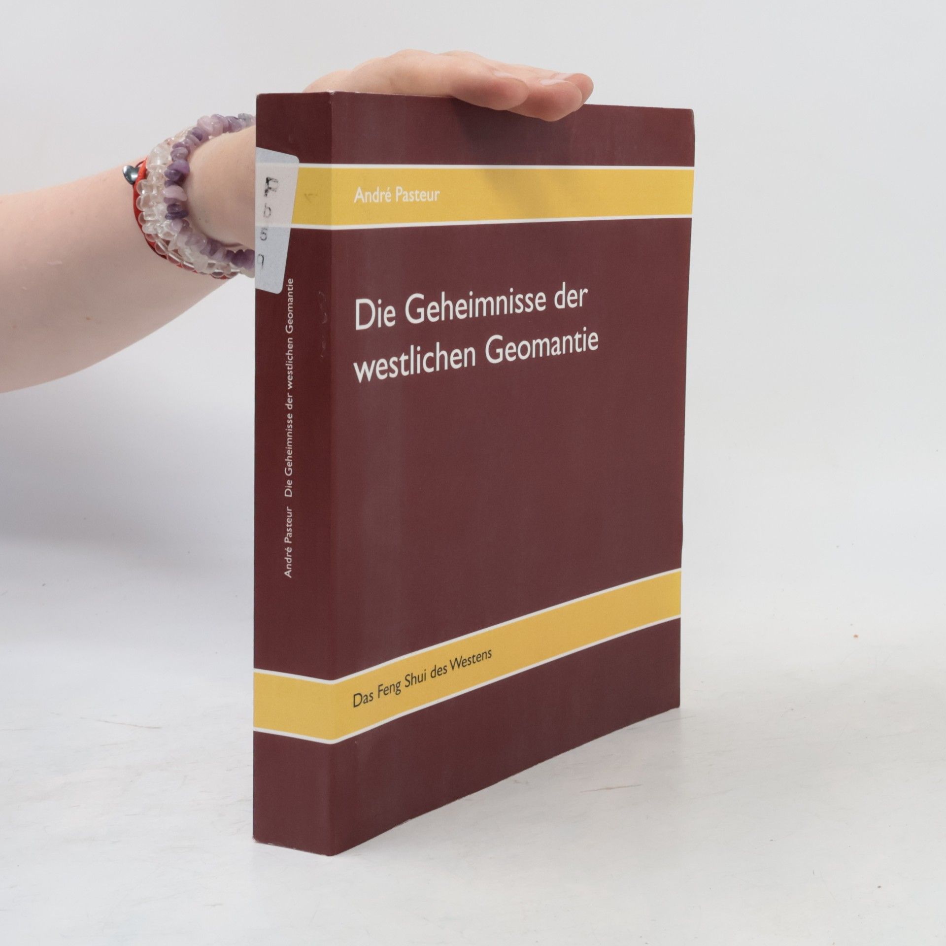 Andre Pasteur Die Geheimnisse der westlichen Geomantie