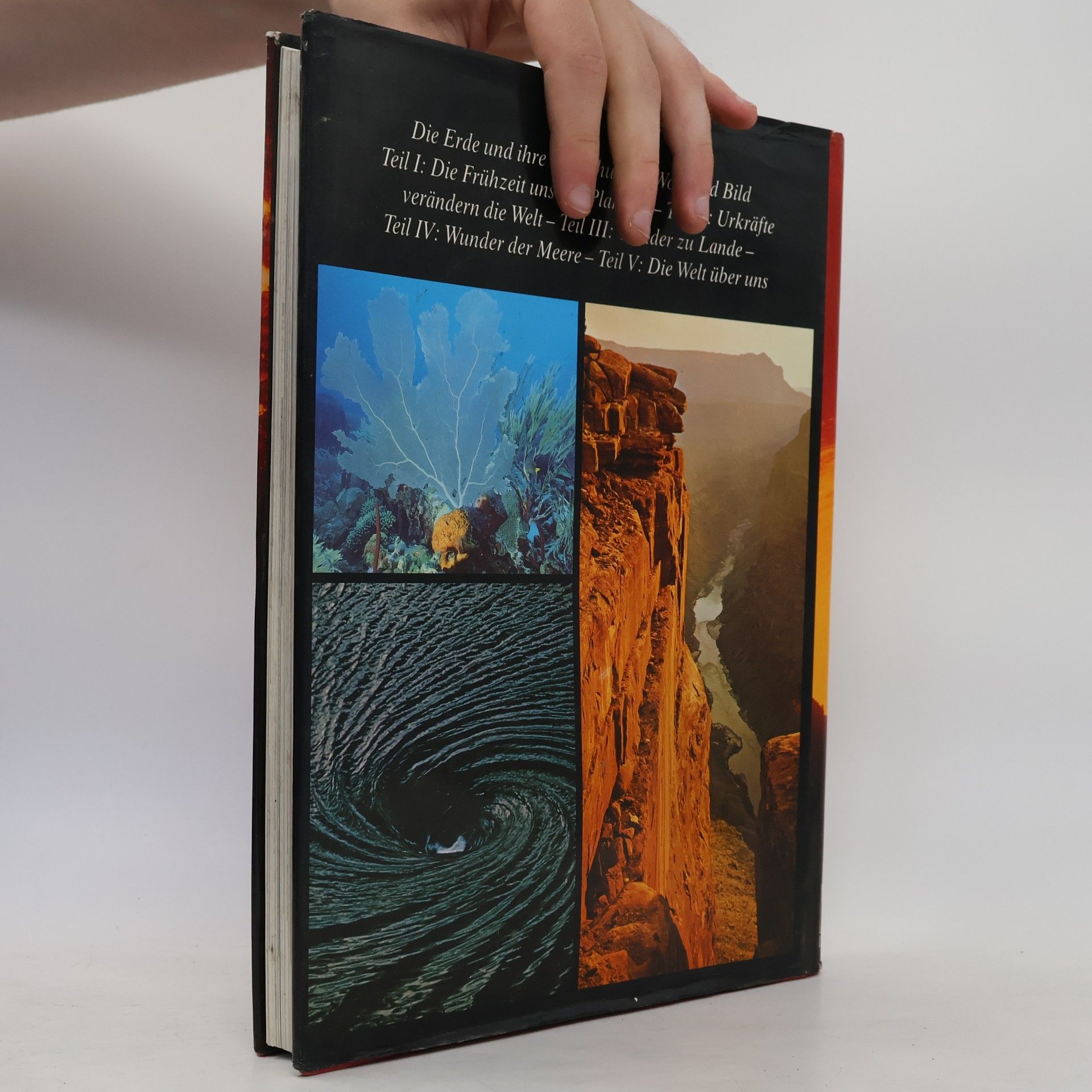 Ingrid Frieling Wunder und Rätsel unserer Welt