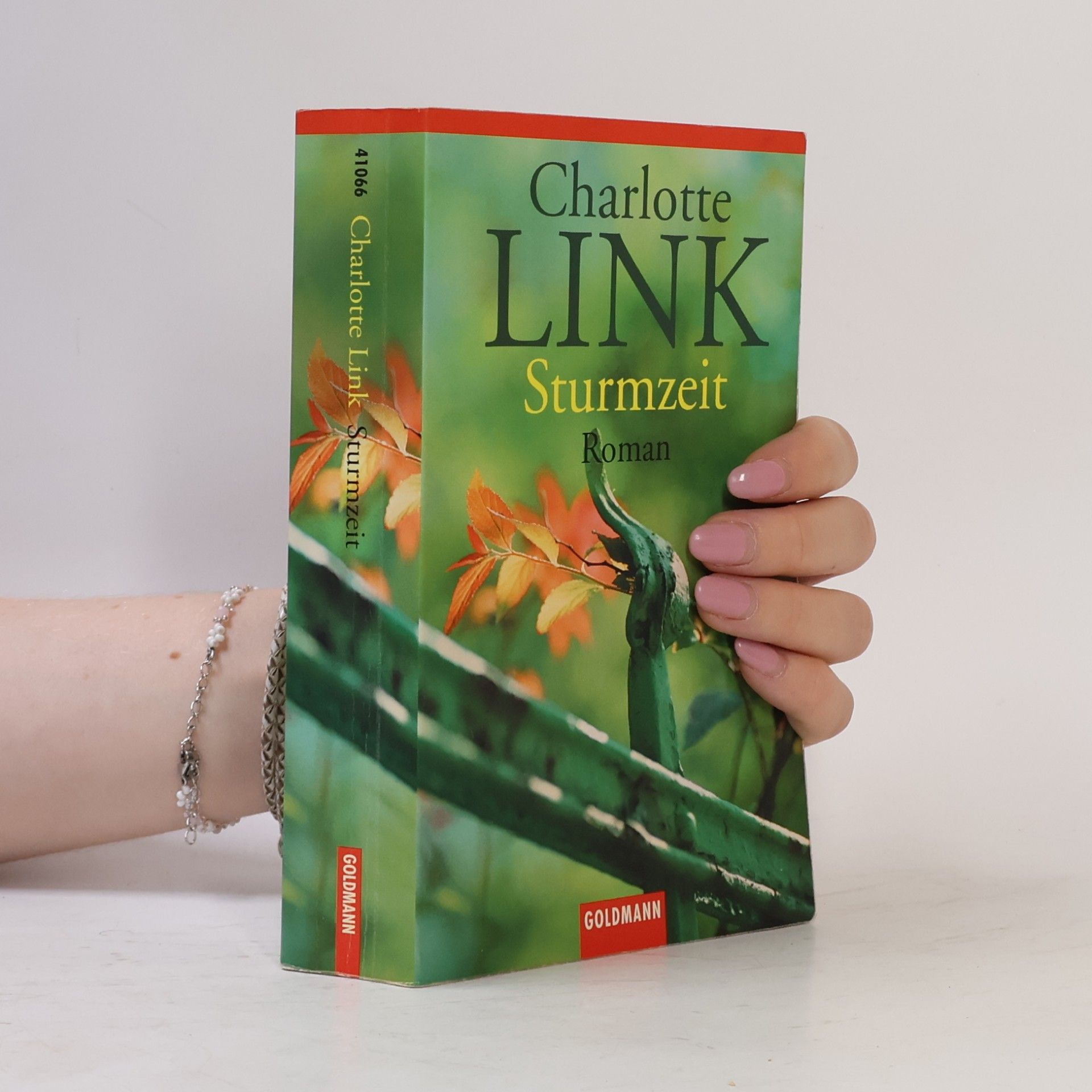 Charlotte Link Sturmzeit