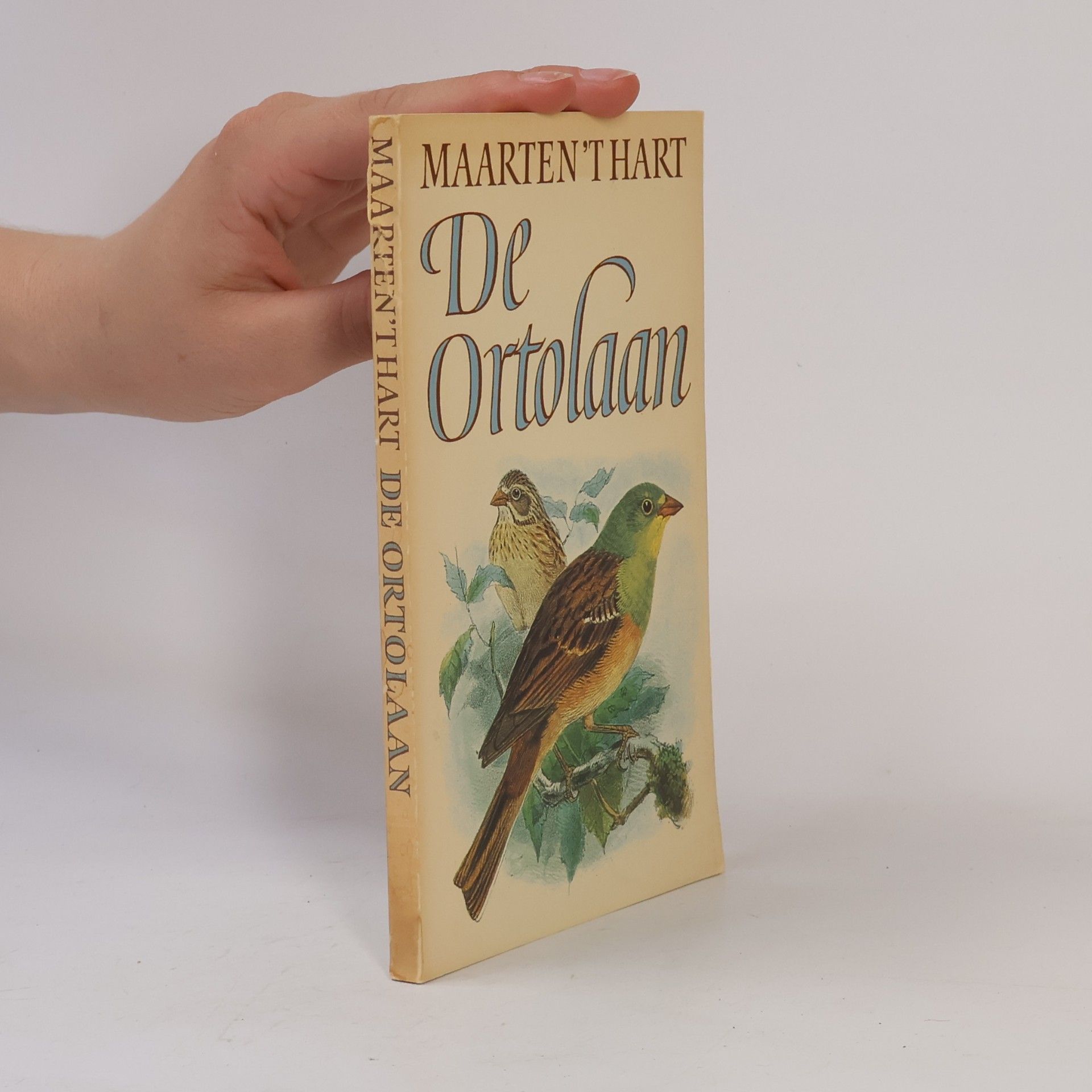 De ortolaan