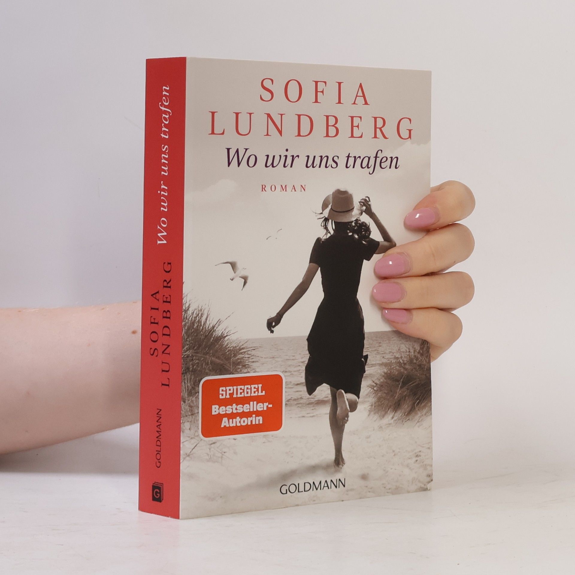 Sofia Lundberg Wo wir uns trafen
