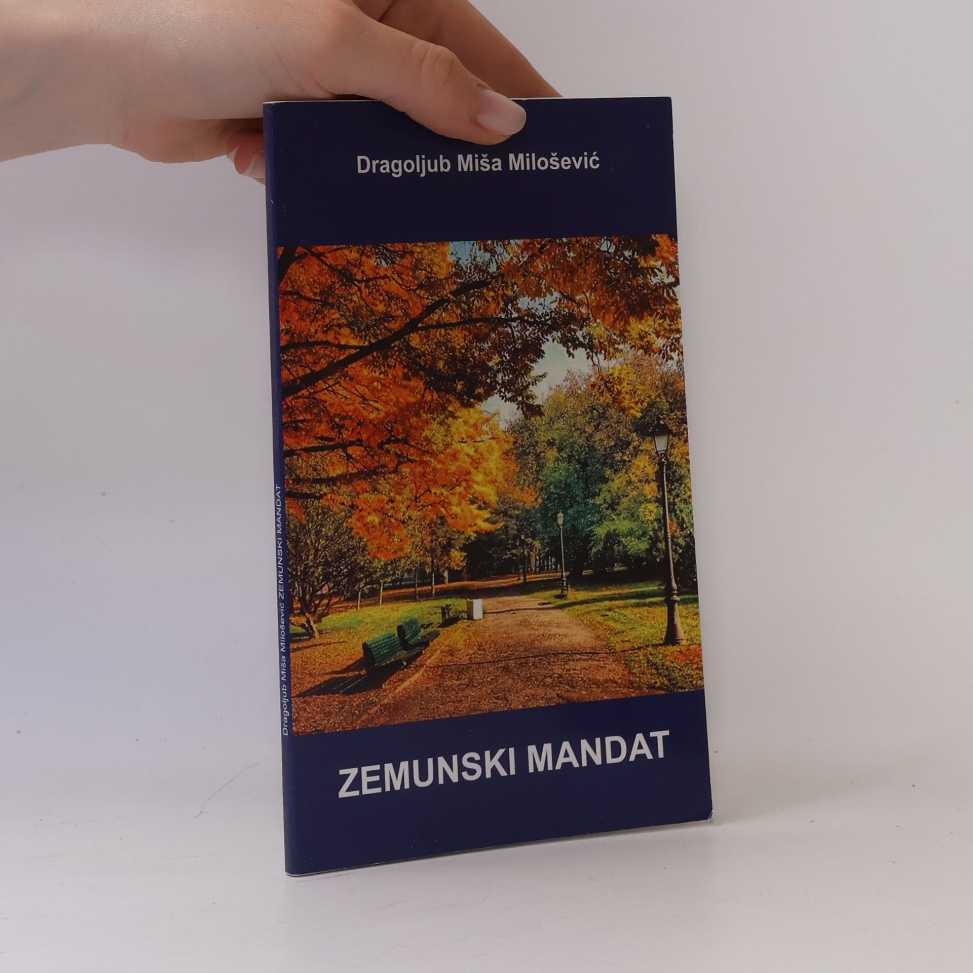 Dragoljub Miša Milošević Zemunski mandat