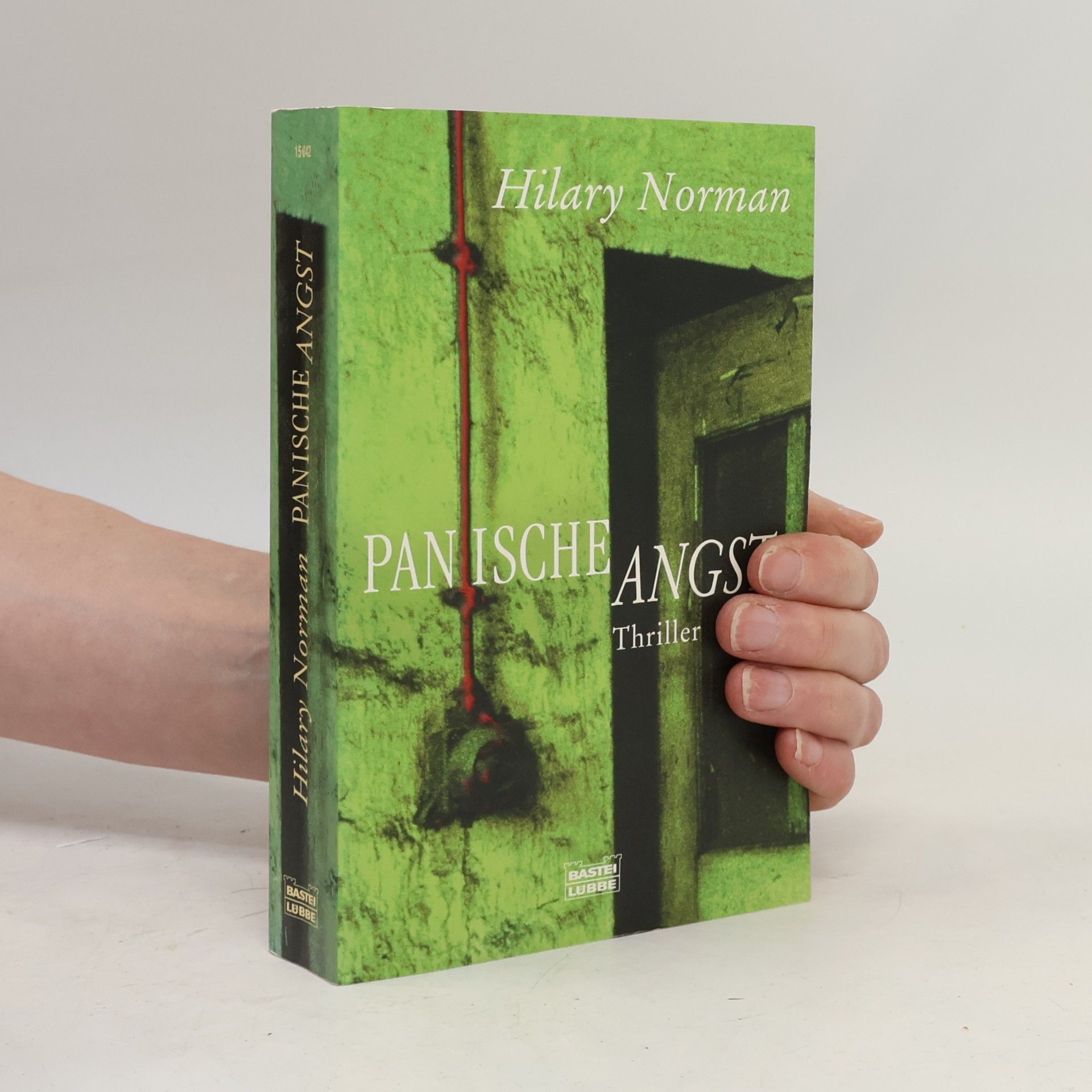 Hilary Norman Panische Angst