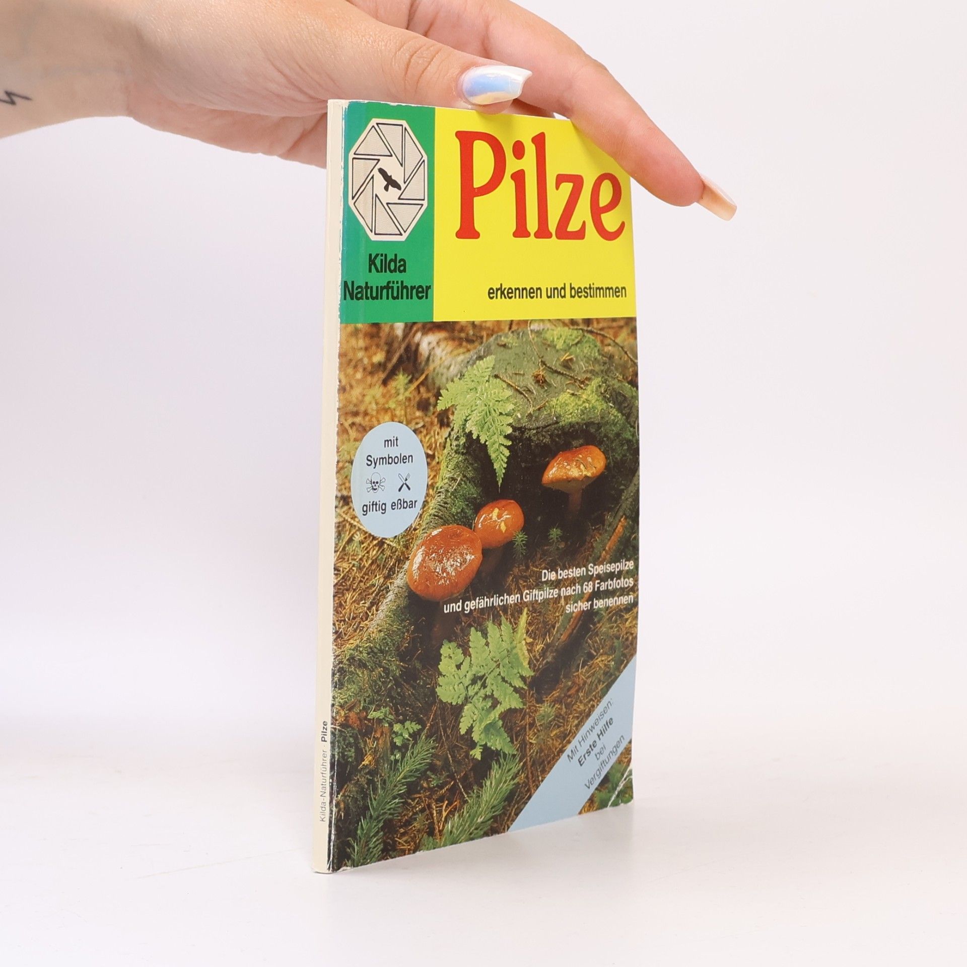 Autorenkollektiv Pilze erkennen und bestimmen