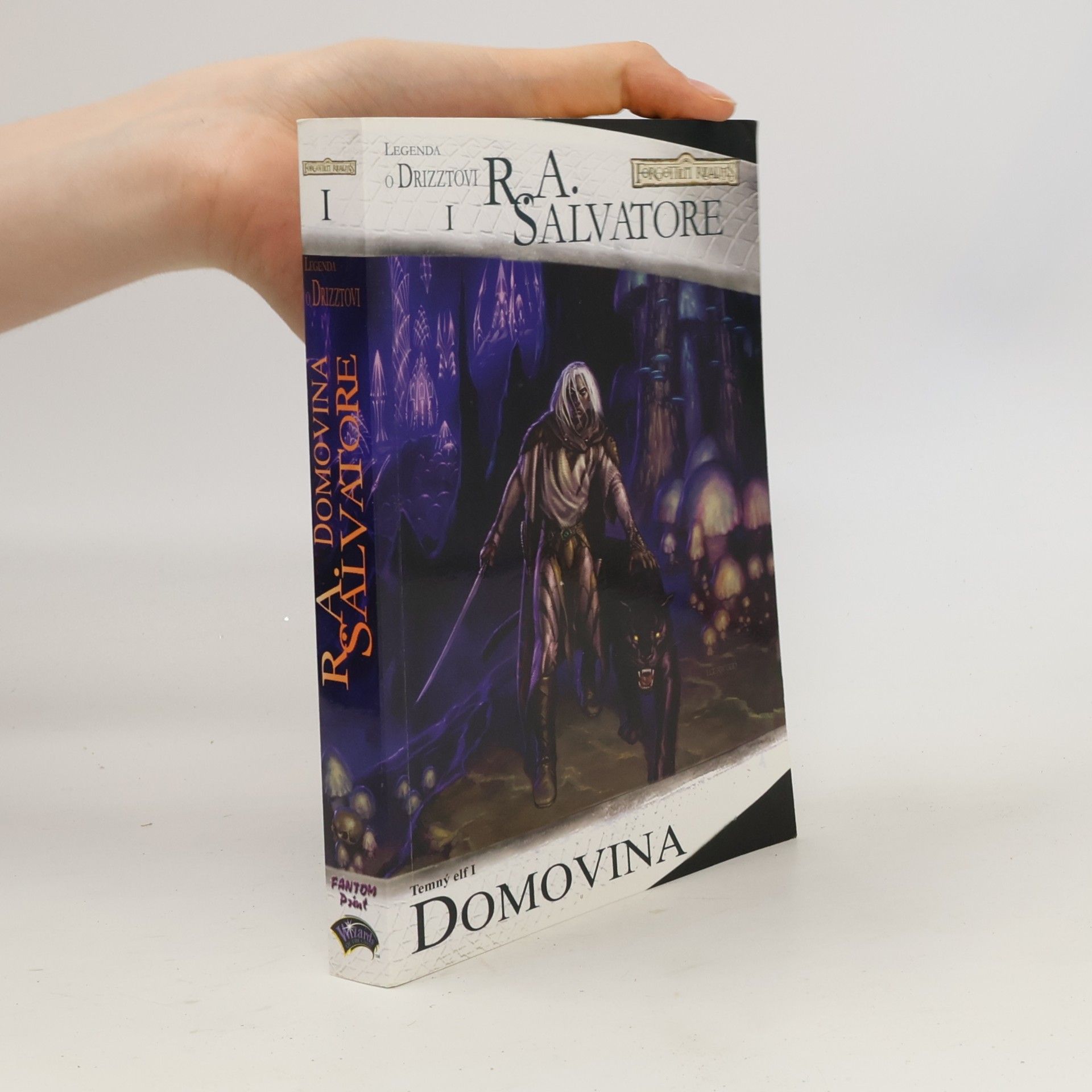 R. A. Salvatore Temný elf I. Domovina