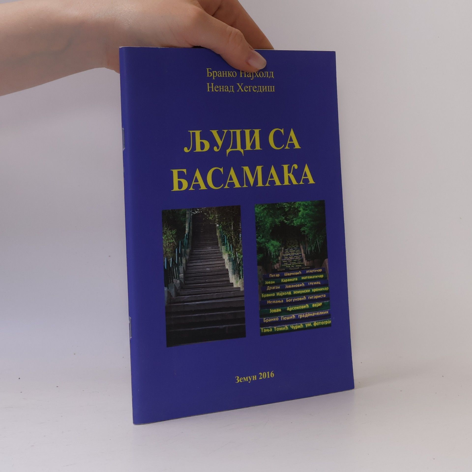 Ненад Хегедиш Људи са басамака