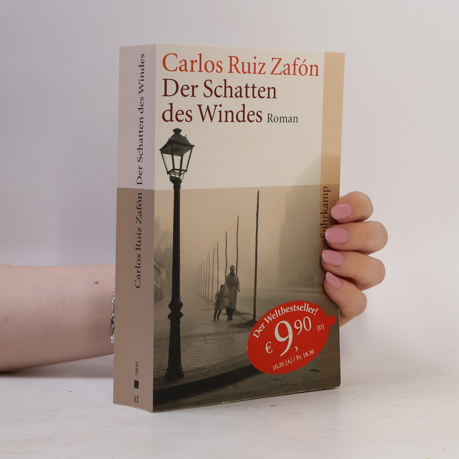 Carlos Ruiz Safon Der Schatten des Windes