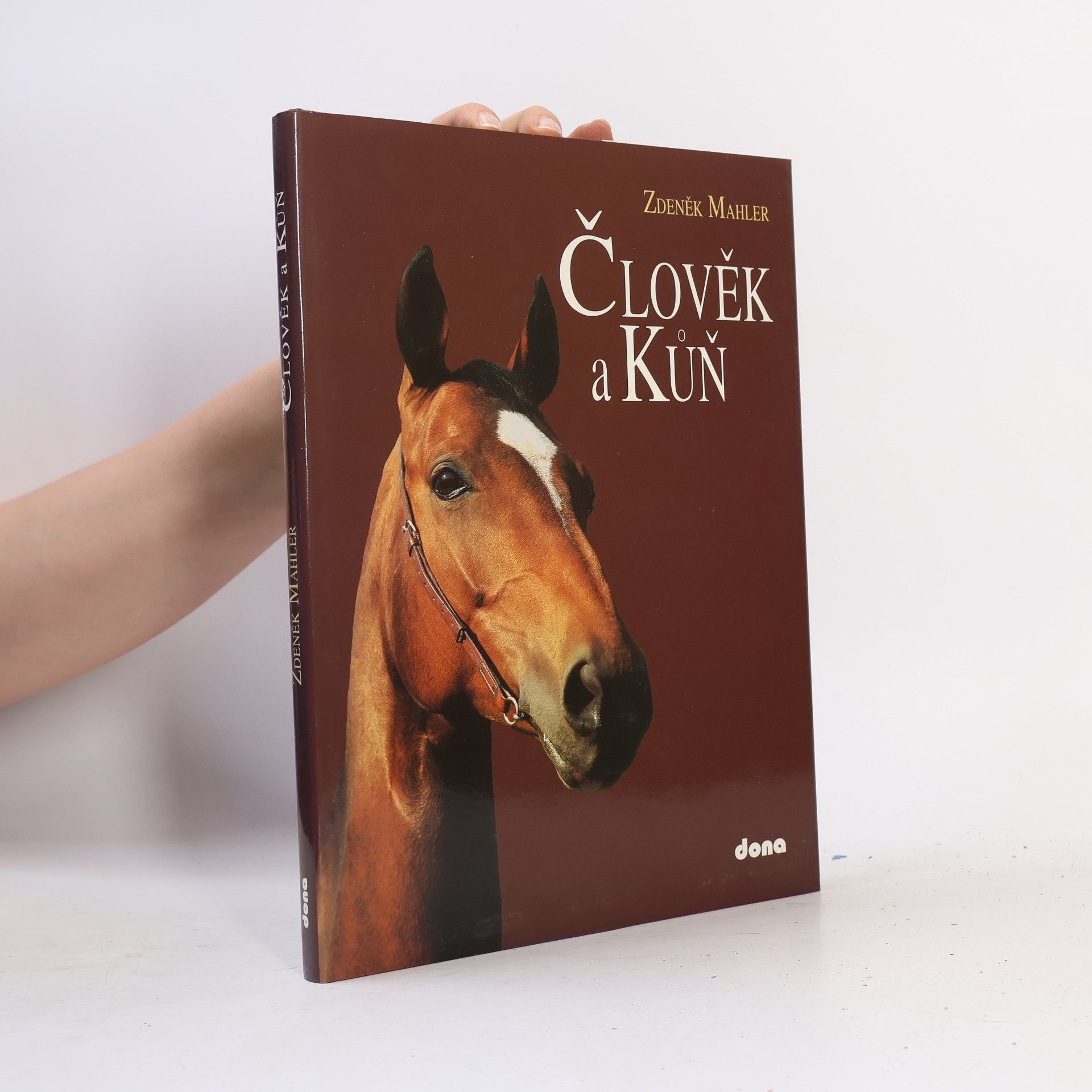 Člověk a kůň